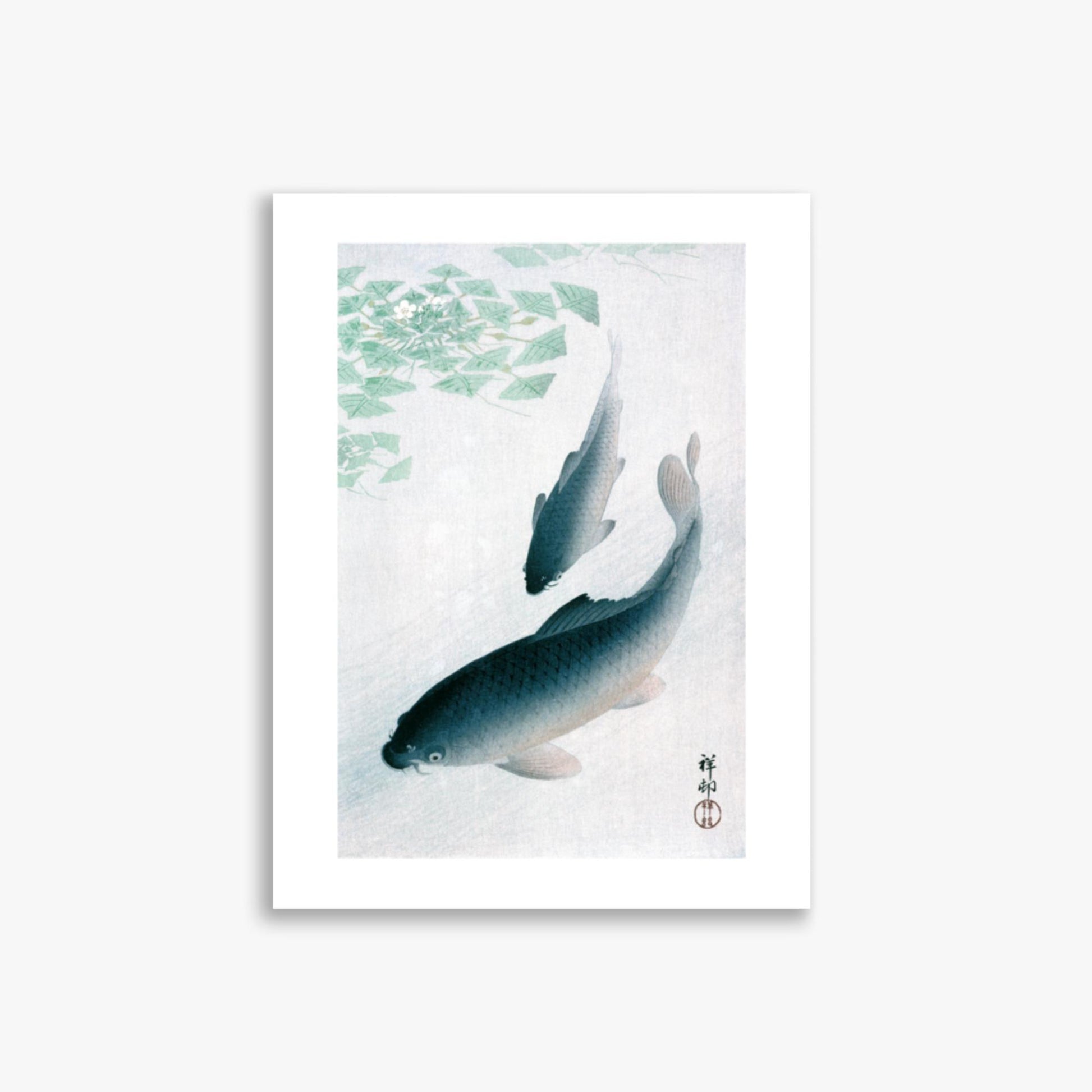 Ohara Koson - Carp or Koi 30x40 cm Poster