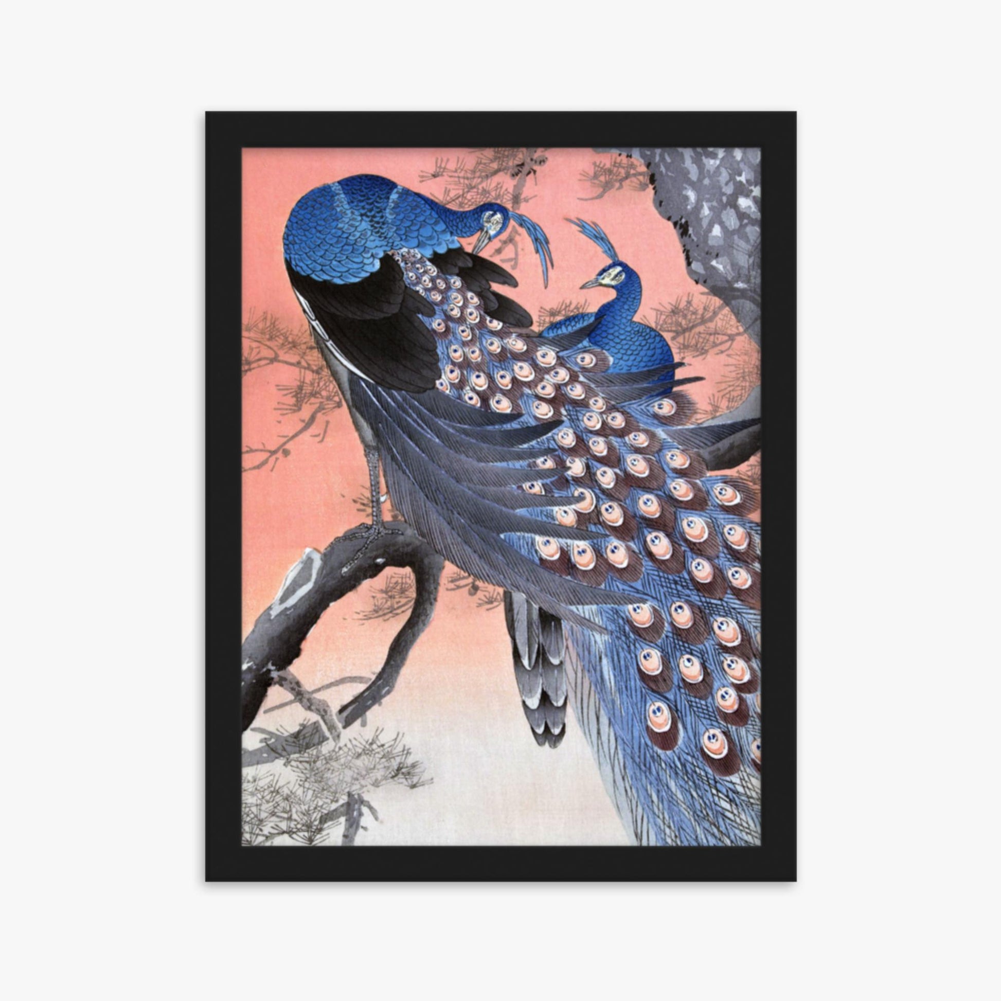 Ohara Koson - Two Peacocks on Tree Branch 30x40 cm Poster With Black Frame