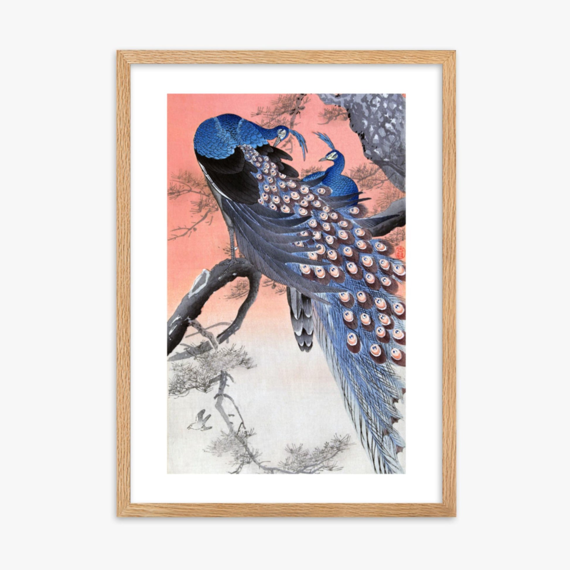 Ohara Koson - Two Peacocks on Tree Branch 50x70 cm Poster With Oak Frame