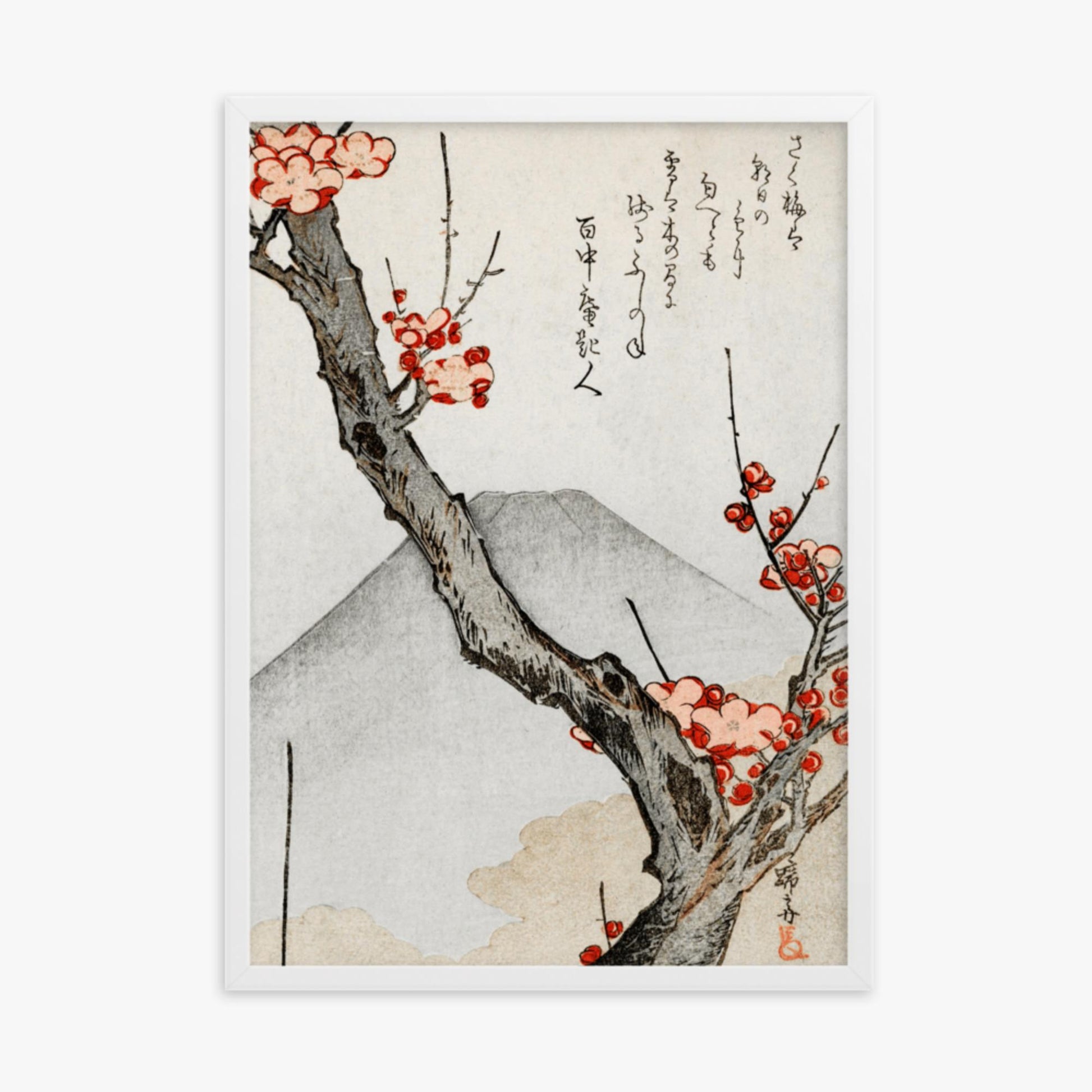 Teisai Hokuba - Mount Fuji and a Flowering Plum 50x70 cm Poster With White Frame