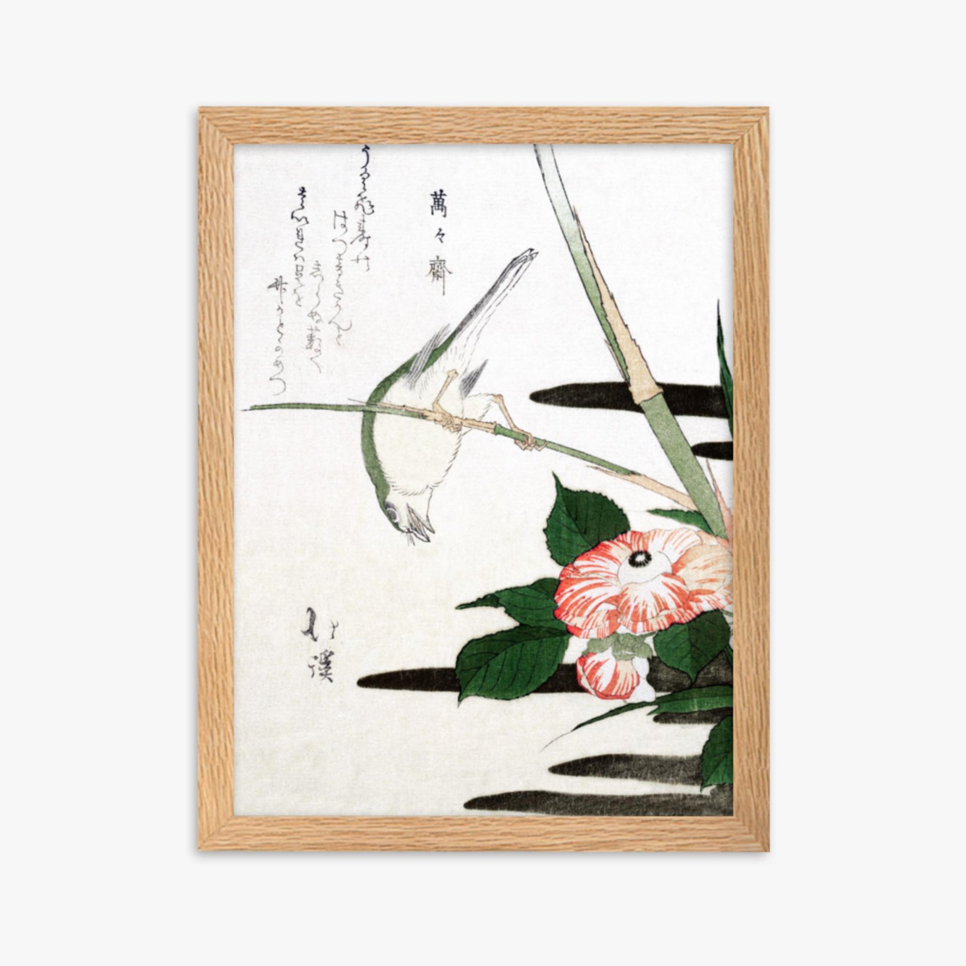 Totoya Hokkei - Warbler and Camellia 30x40 cm Poster With Oak Frame