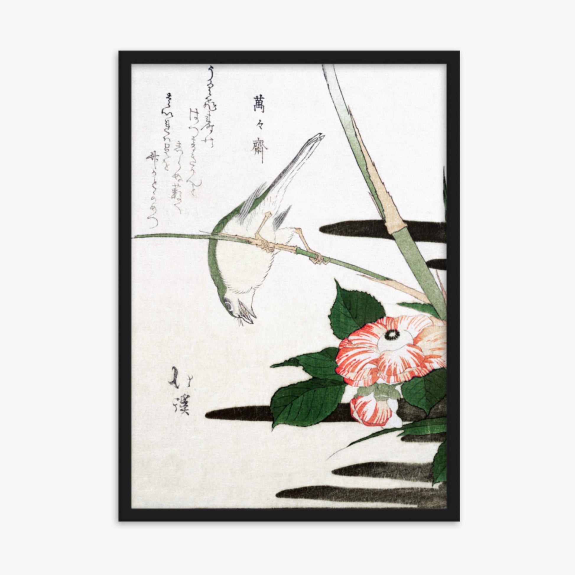 Totoya Hokkei - Warbler and Camellia 50x70 cm Poster With Black Frame