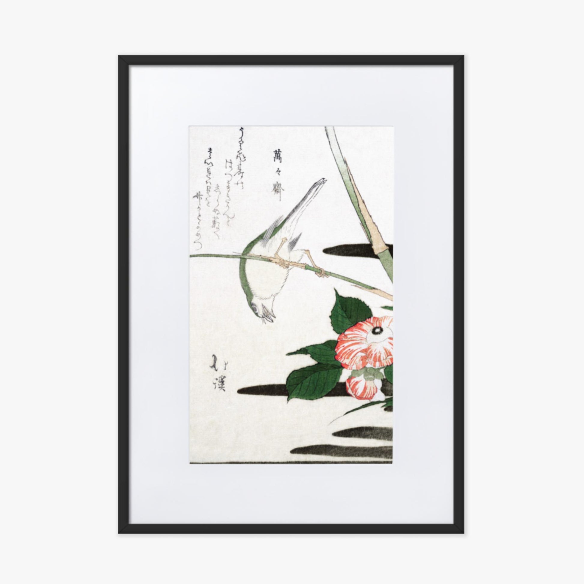 Totoya Hokkei - Warbler and Camellia 50x70 cm Poster With Black Frame