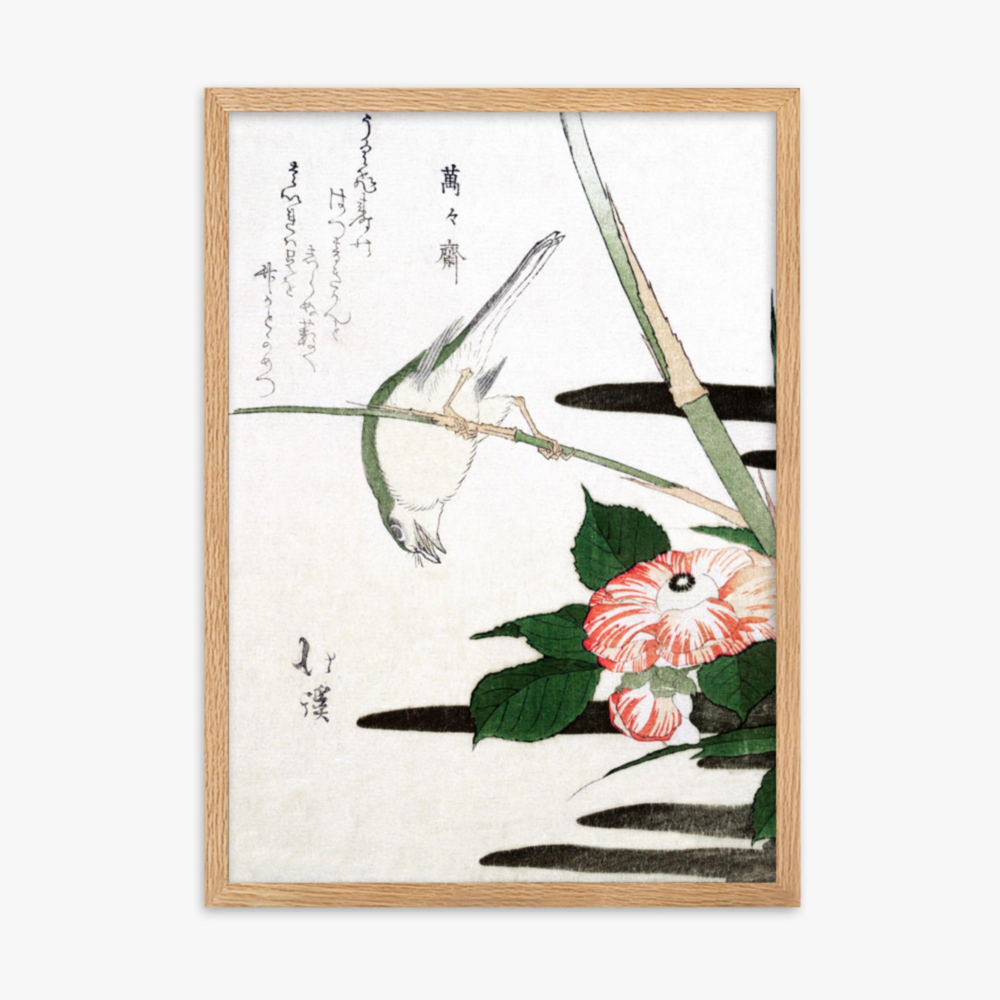 Totoya Hokkei - Warbler and Camellia 50x70 cm Poster With Oak Frame