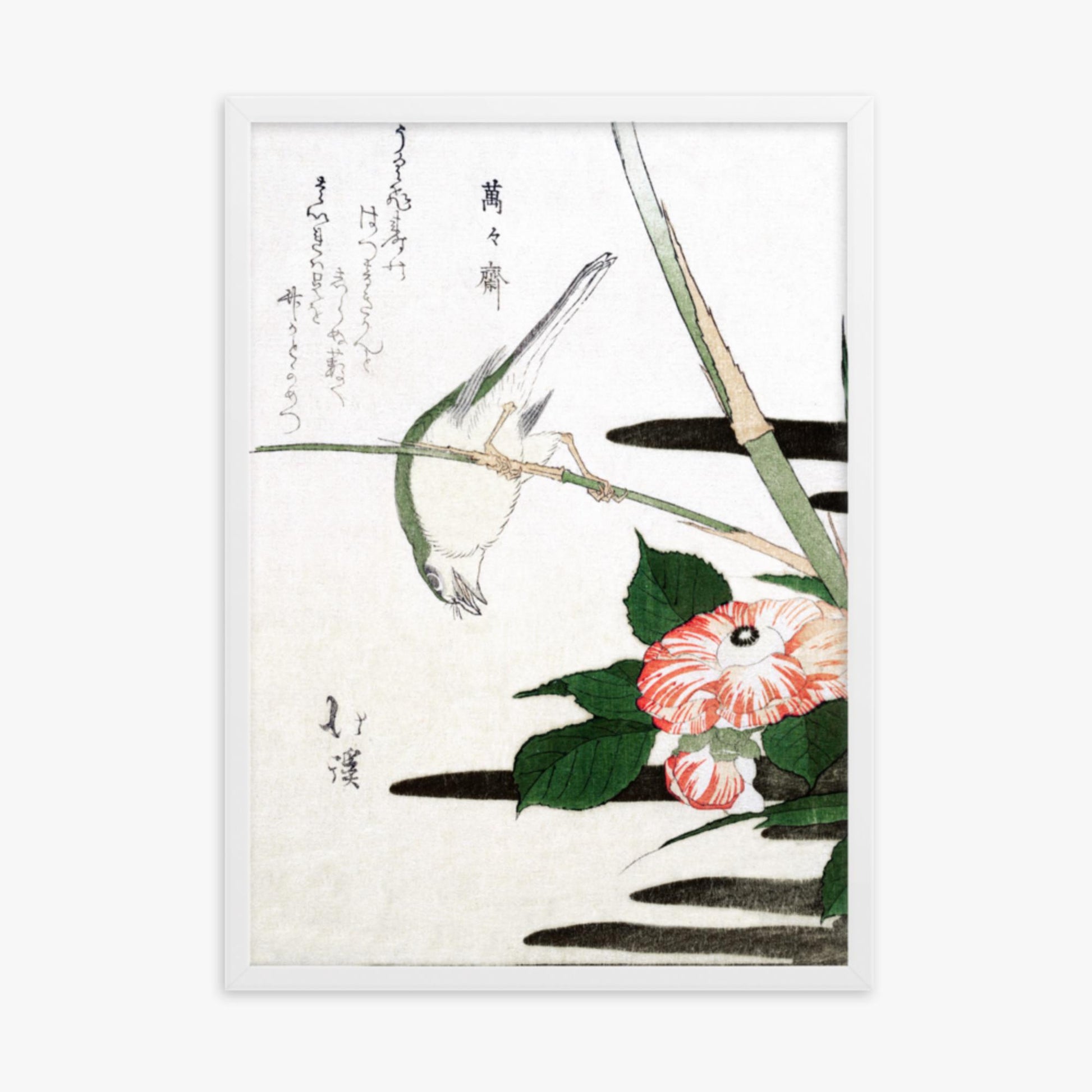 Totoya Hokkei - Warbler and Camellia 50x70 cm Poster With White Frame