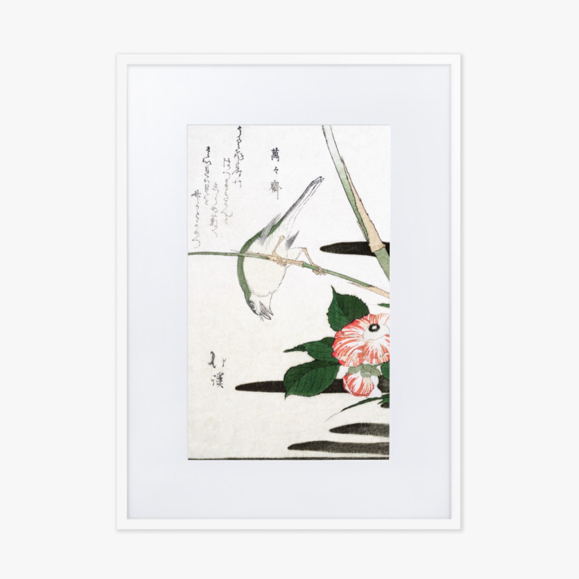 Totoya Hokkei - Warbler and Camellia 50x70 cm Poster With White Frame