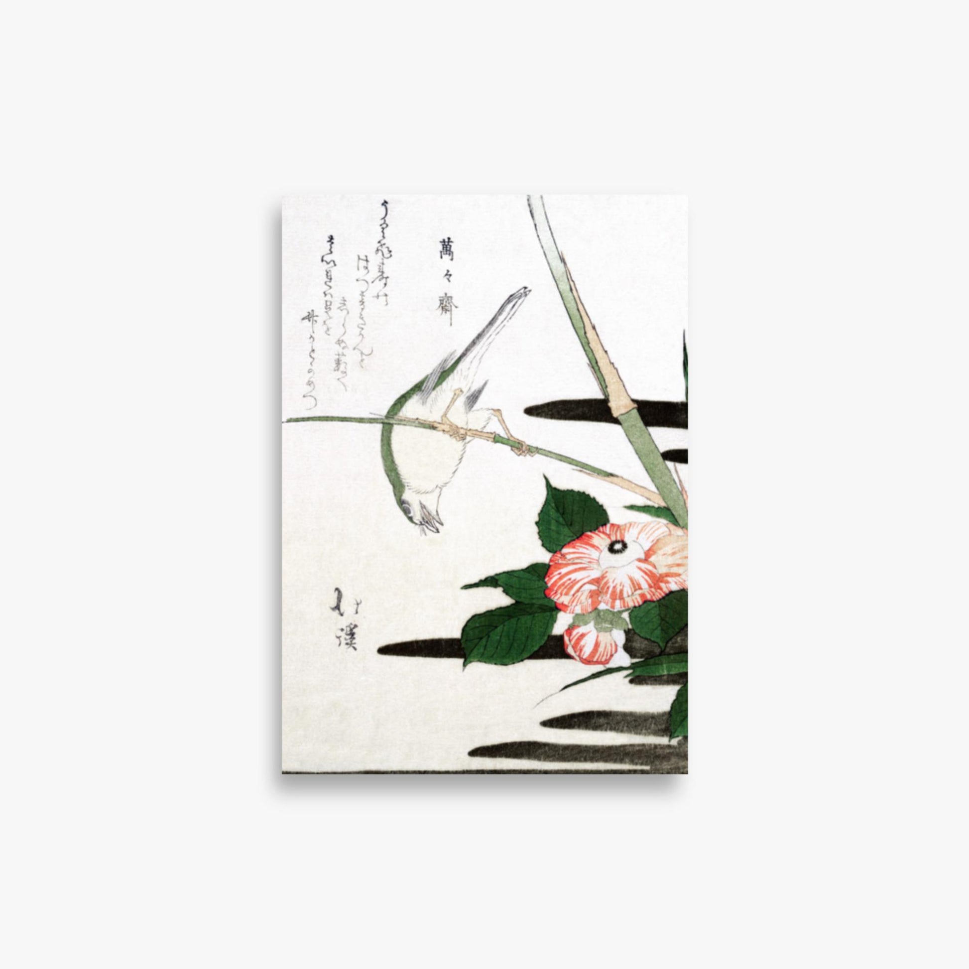 Totoya Hokkei - Warbler and Camellia 21x30 cm Poster