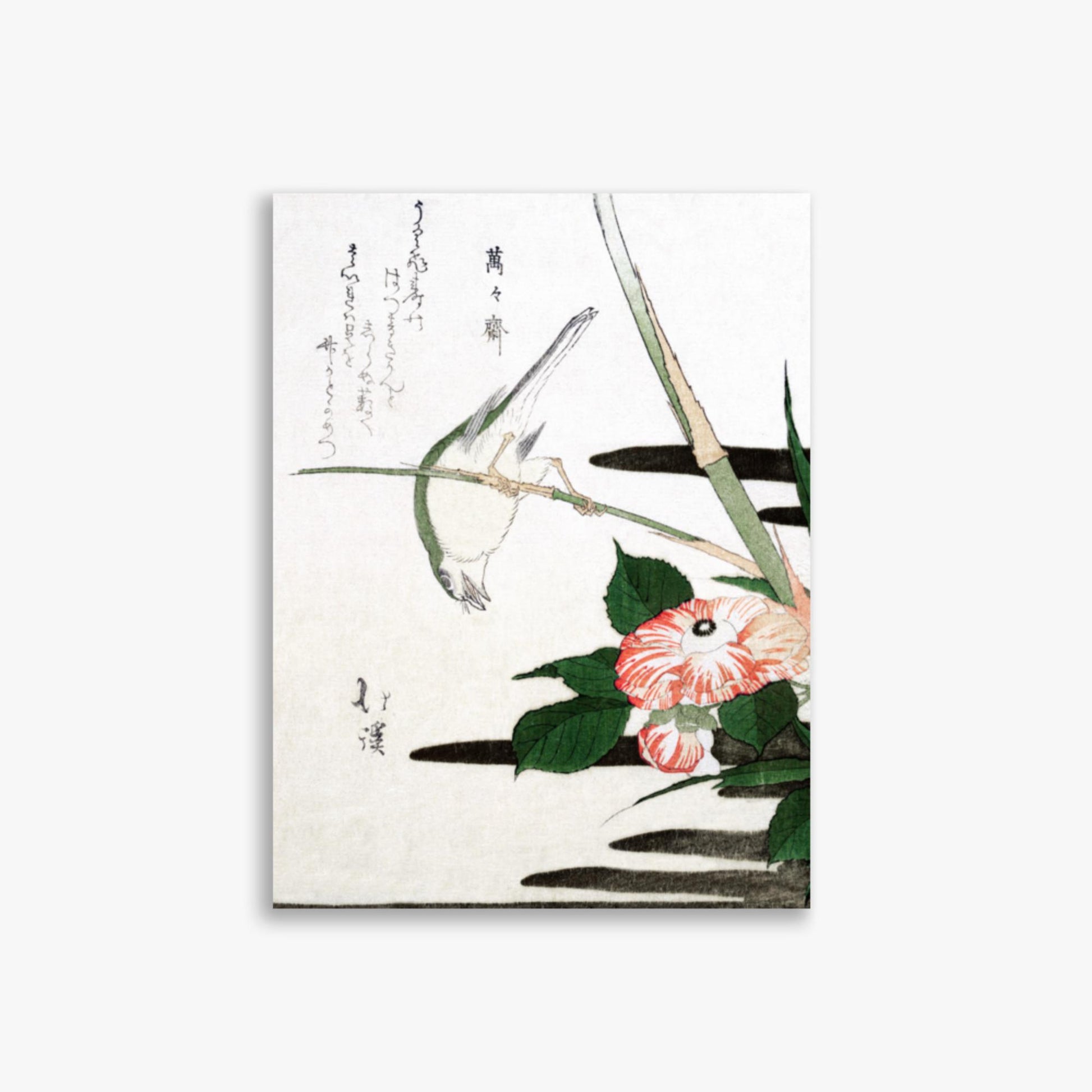 Totoya Hokkei - Warbler and Camellia 30x40 cm Poster