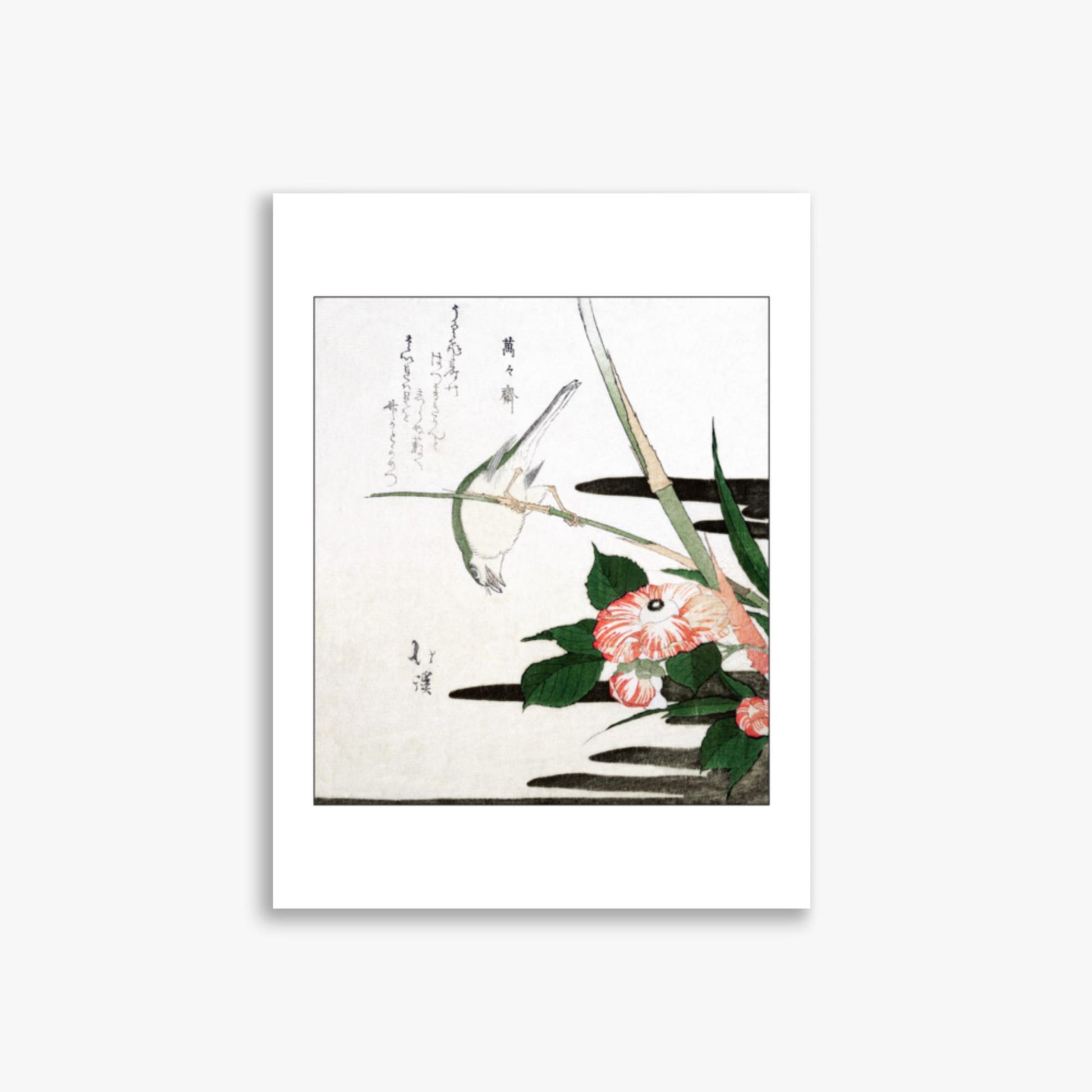 Totoya Hokkei - Warbler and Camellia 30x40 cm Poster