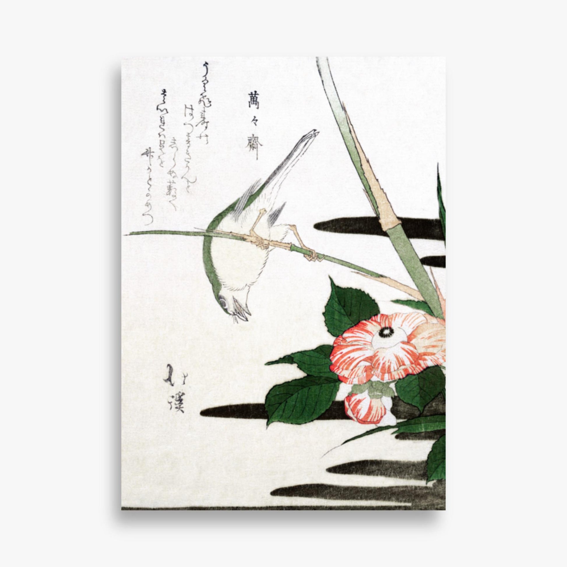 Totoya Hokkei - Warbler and Camellia 50x70 cm Poster