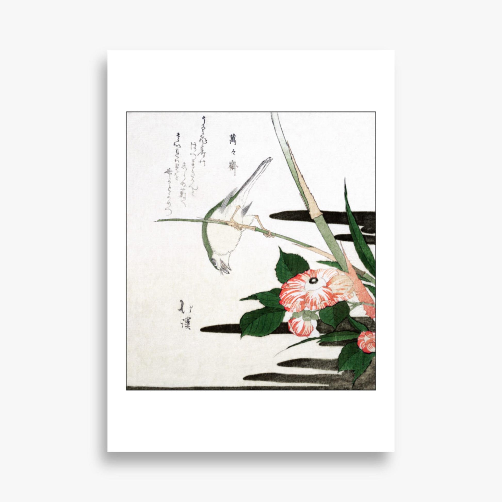 Totoya Hokkei - Warbler and Camellia 50x70 cm Poster