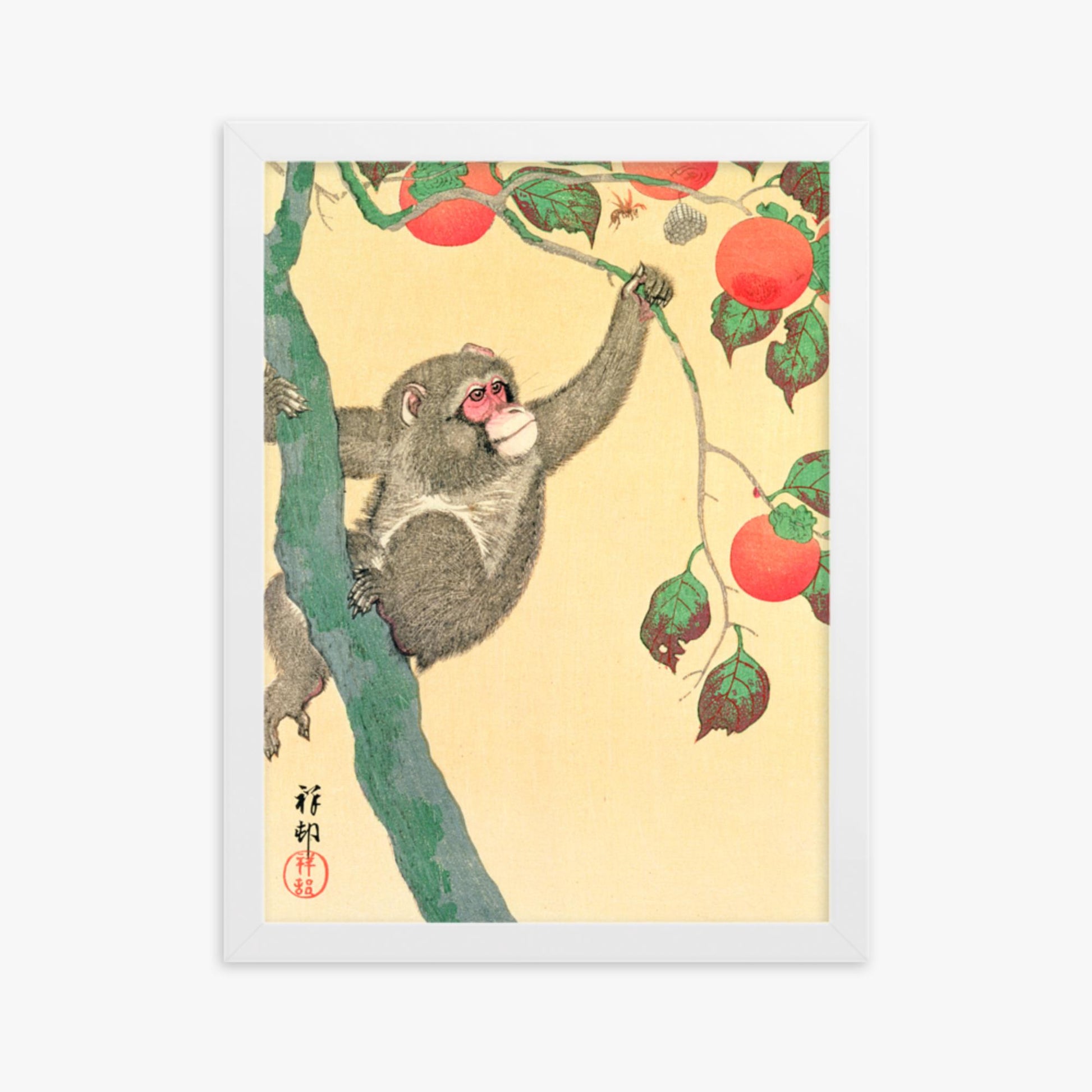 Ohara Koson: Monkey in a Persimmon - 30x40 cm Poster With White Frame