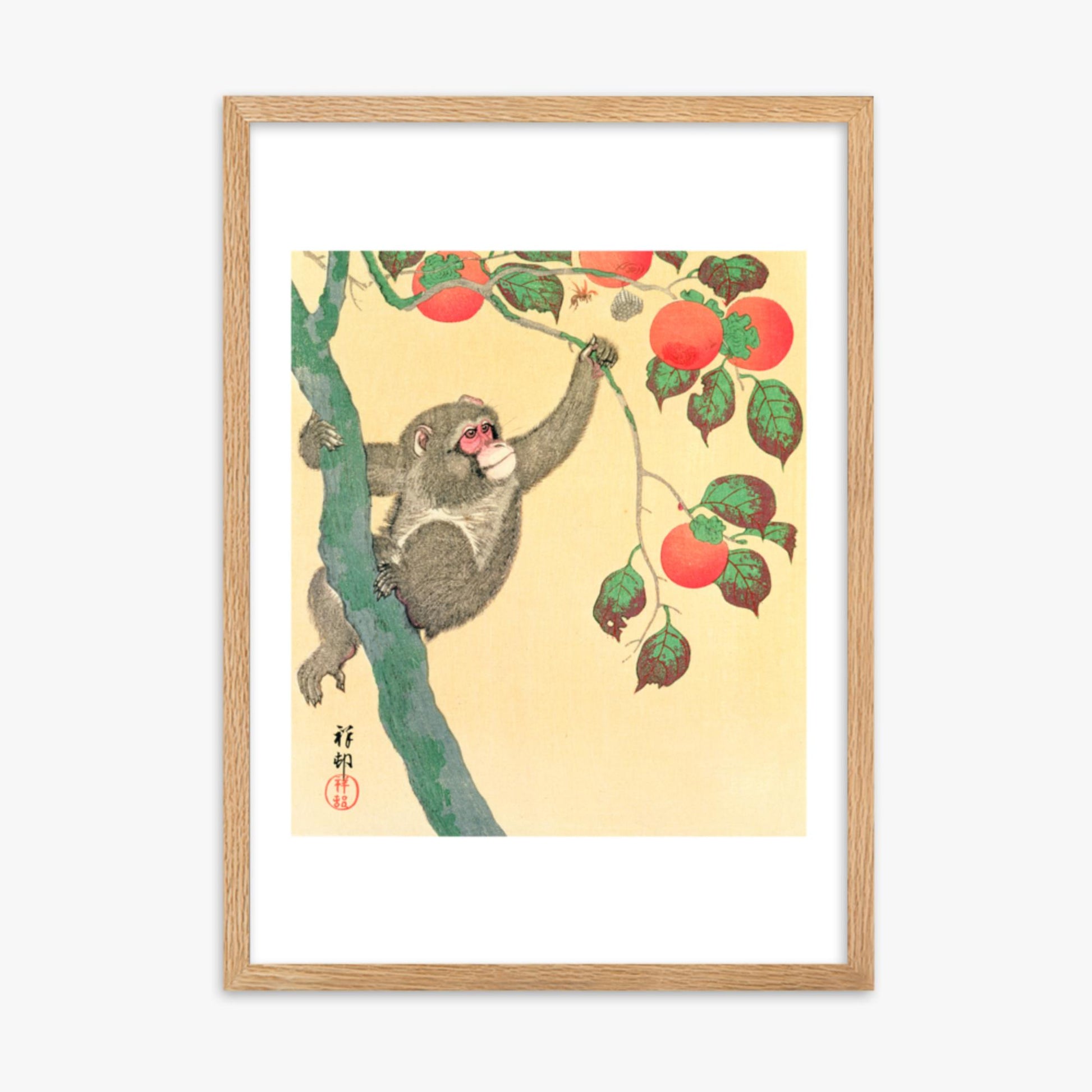 Ohara Koson: Monkey in a Persimmon - 50x70 cm Poster With Oak Frame