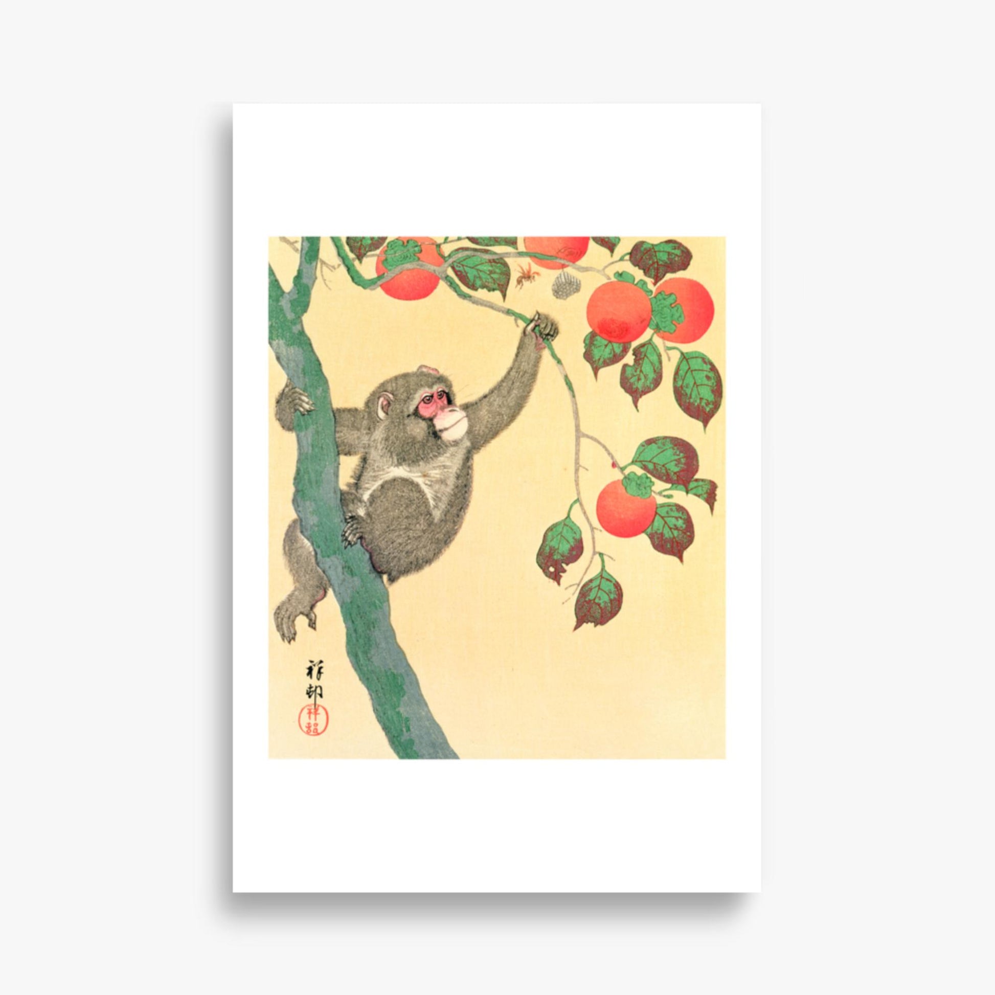 Ohara Koson: Monkey in a Persimmon - 61x91 cm Poster