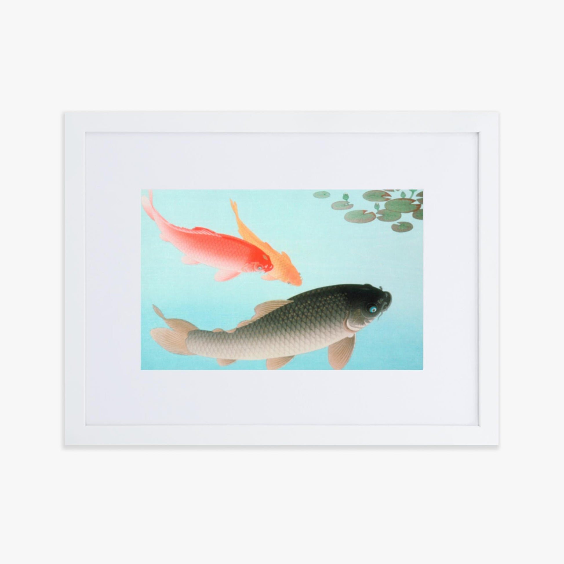 Ohara Koson - Common and Golden Carp 30x40 cm Poster With White Frame