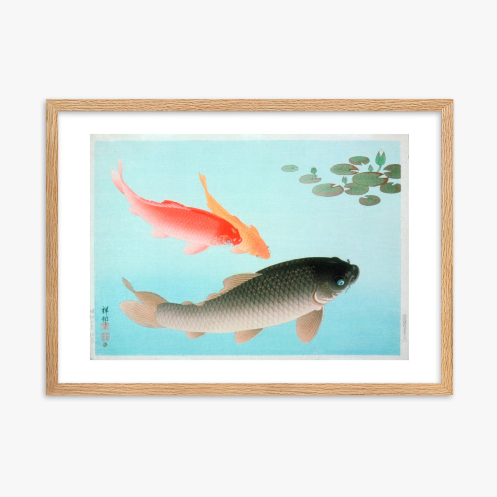 Ohara Koson - Common and Golden Carp 50x70 cm Poster With Oak Frame