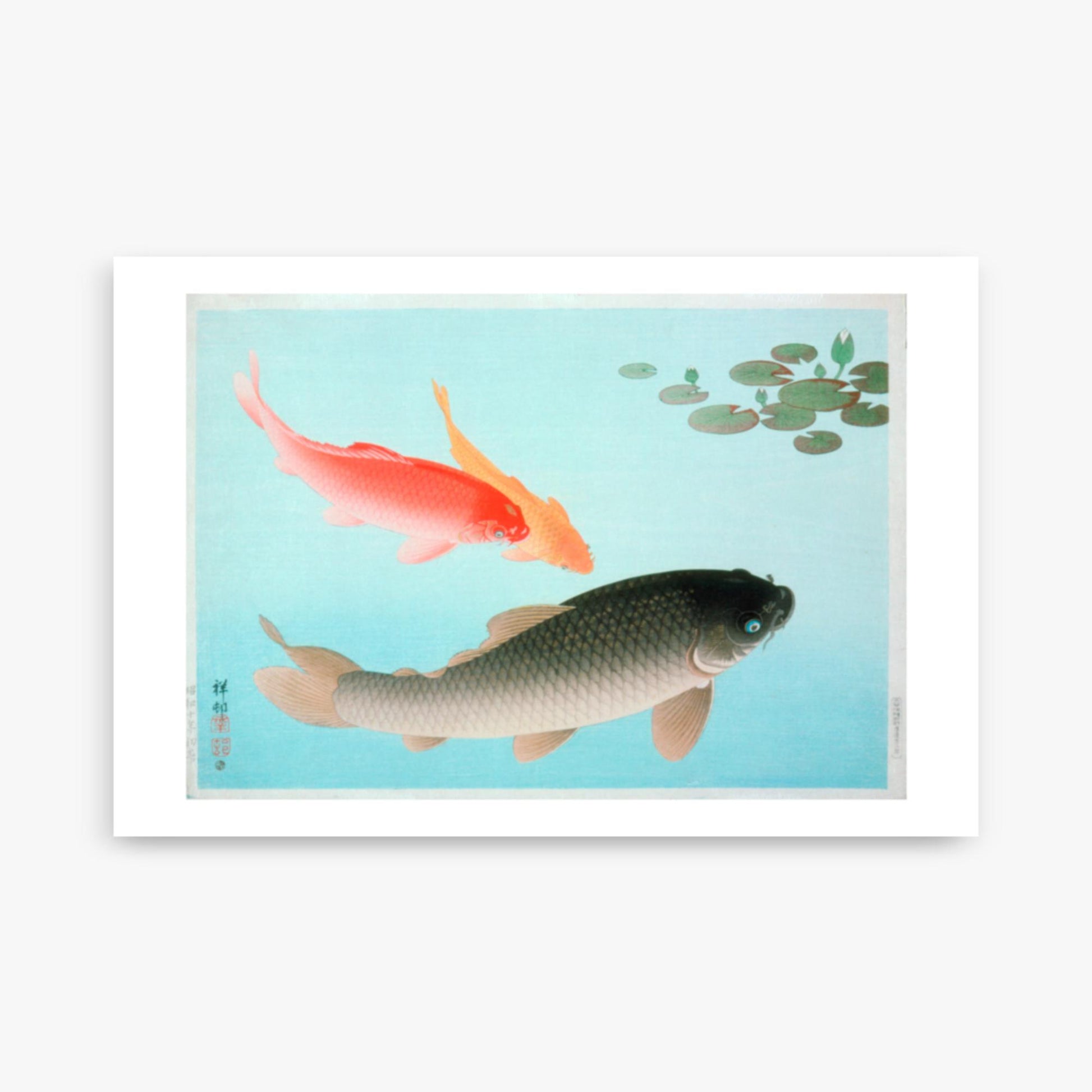 Ohara Koson - Common and Golden Carp 61x91 cm Poster