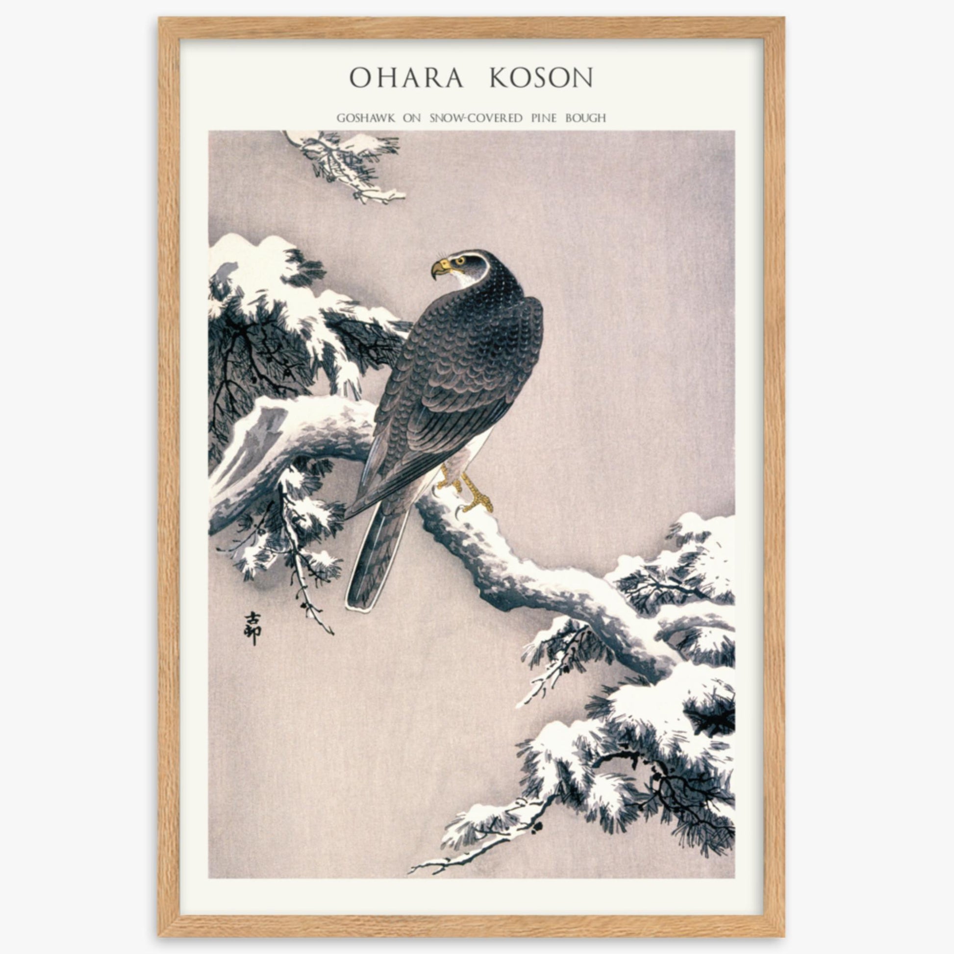 Ohara Koson - Goshawk on Snow-covered Pine Bough  - Decoration 61x91 cm Poster With Oak Frame