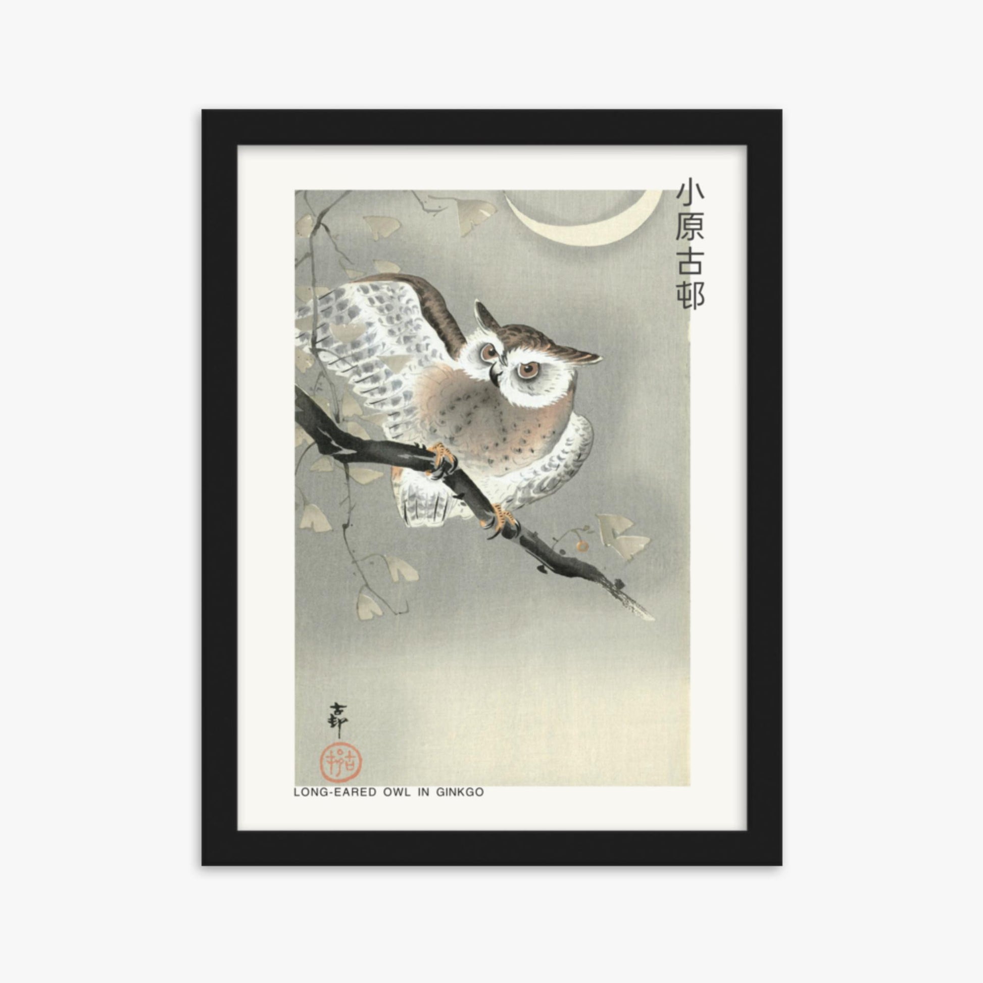 Ohara Koson - Long-eared owl in ginkgo - Decoration 30x40 cm Poster With Black Frame