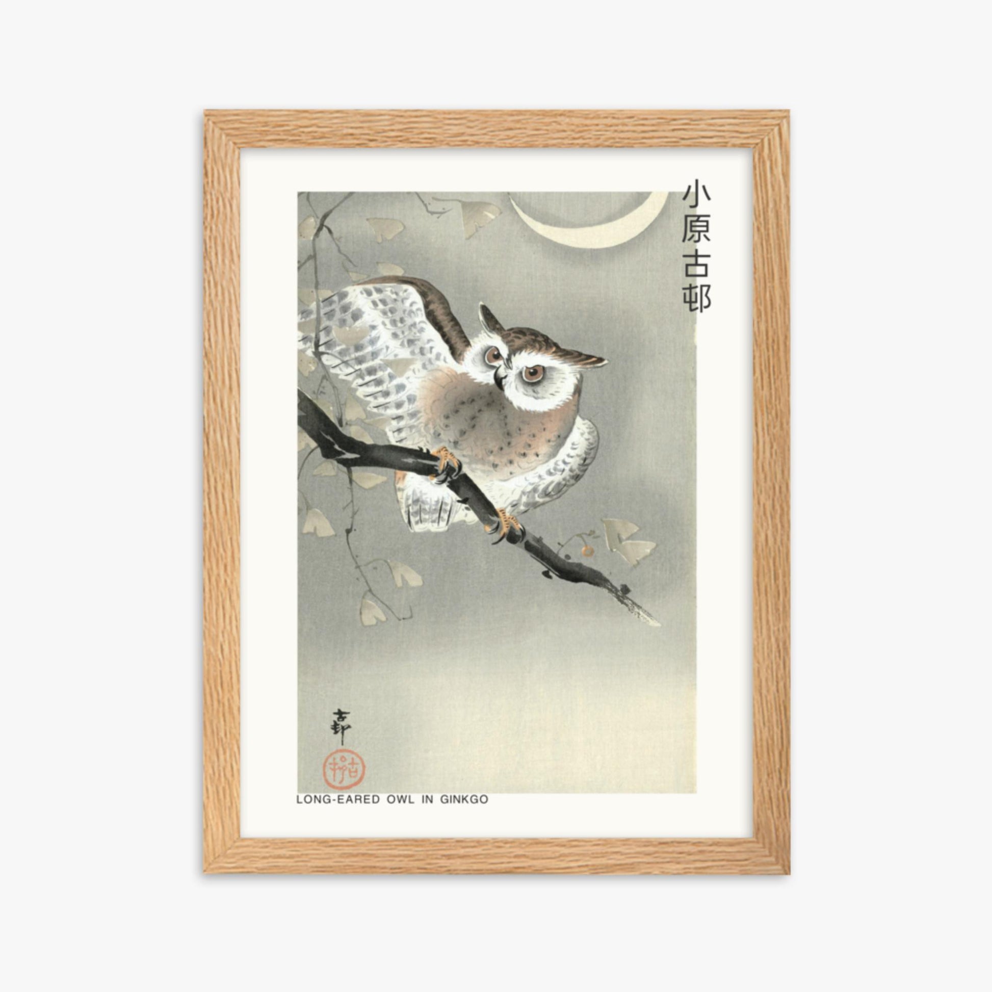 Ohara Koson - Long-eared owl in ginkgo - Decoration 30x40 cm Poster With Oak Frame