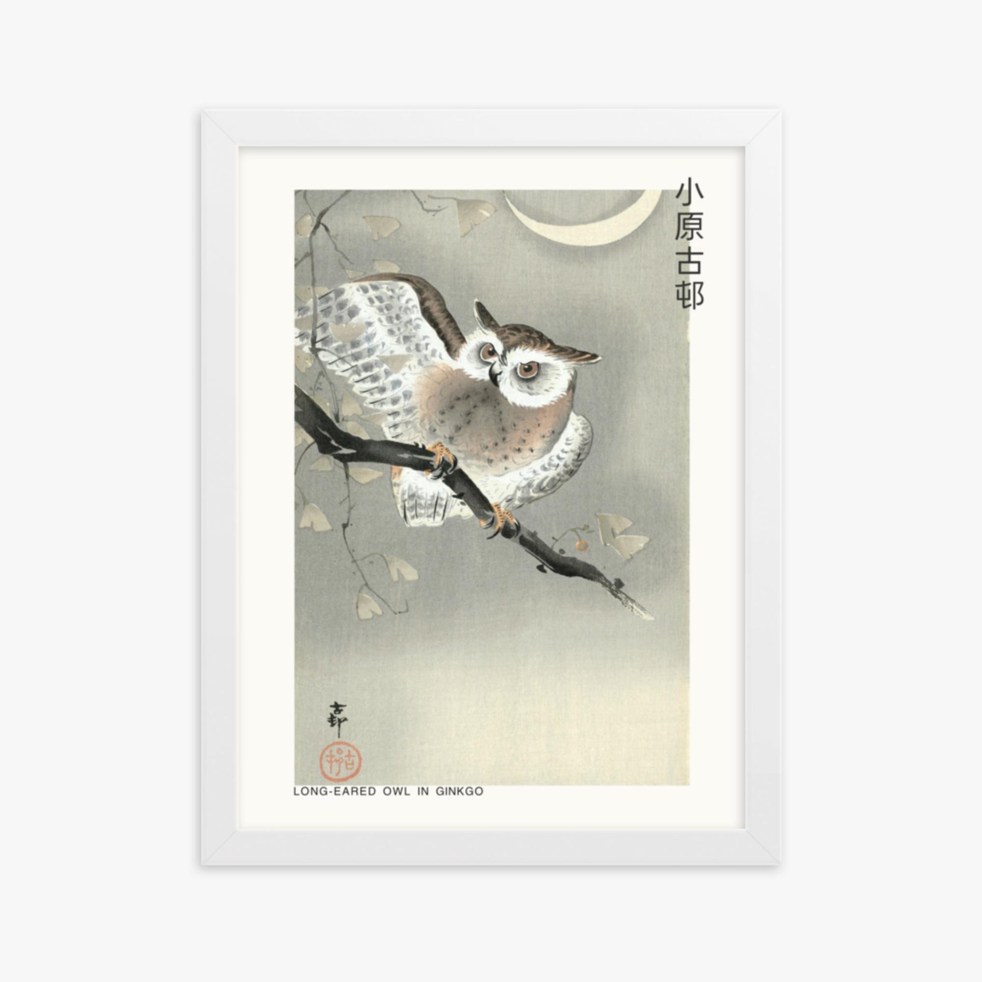 Ohara Koson - Long-eared owl in ginkgo - Decoration 30x40 cm Poster With White Frame