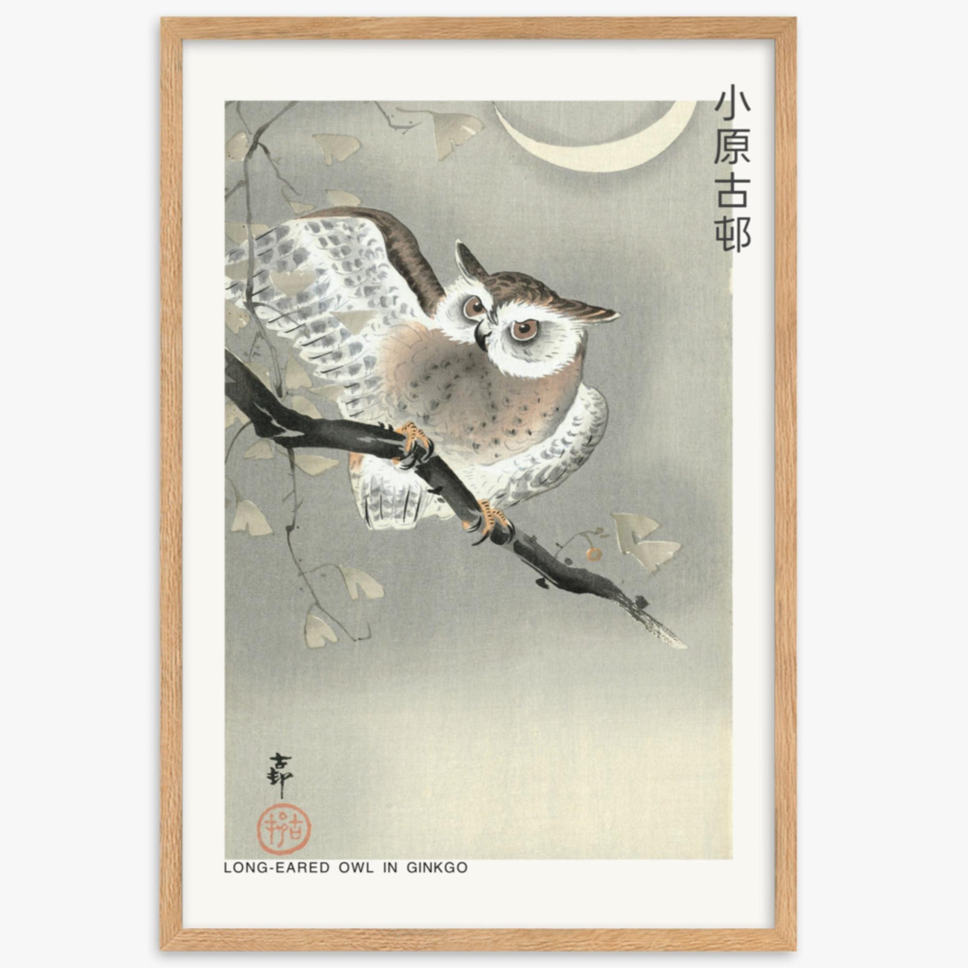 Ohara Koson - Long-eared owl in ginkgo - Decoration 61x91 cm Poster With Oak Frame