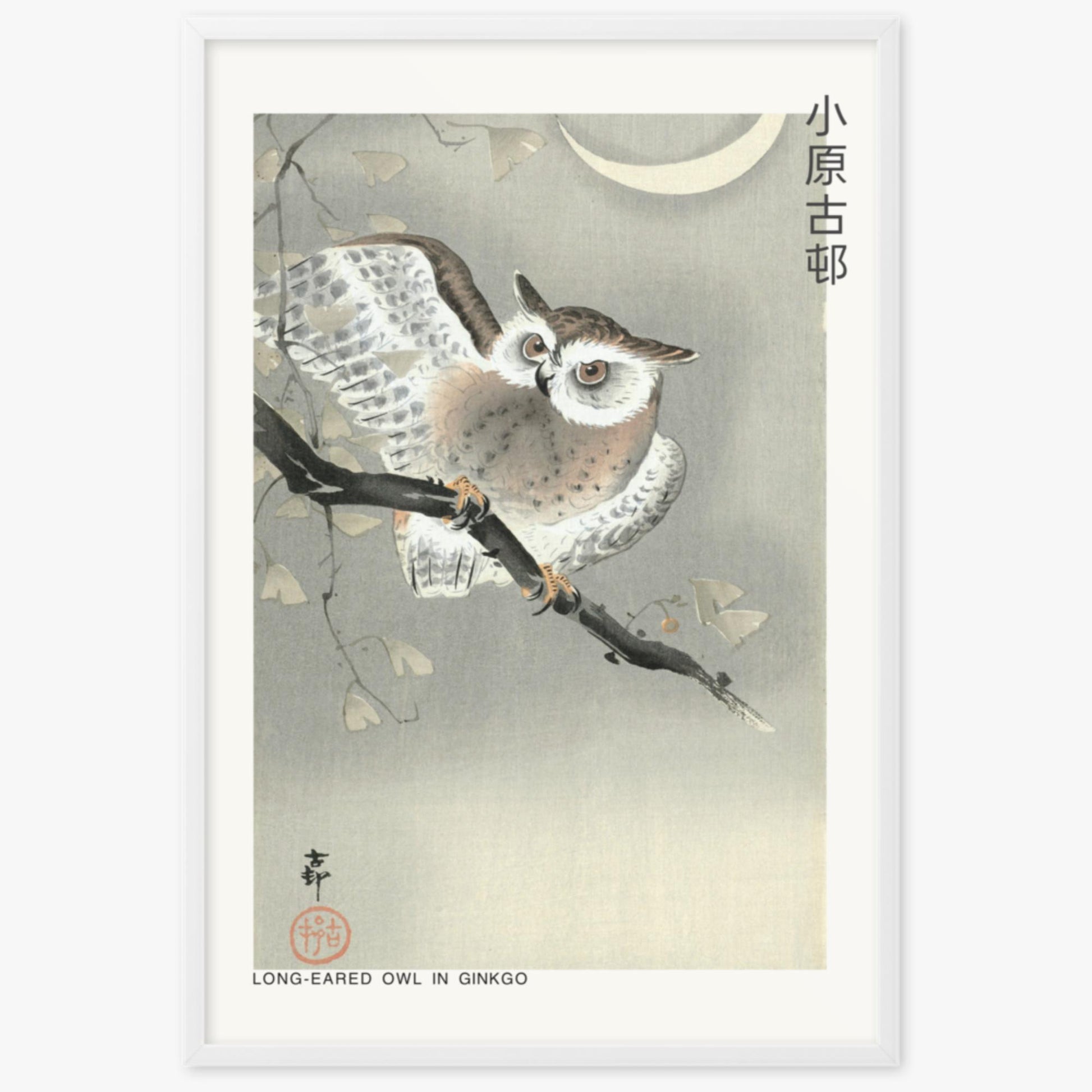 Ohara Koson - Long-eared owl in ginkgo - Decoration 61x91 cm Poster With White Frame