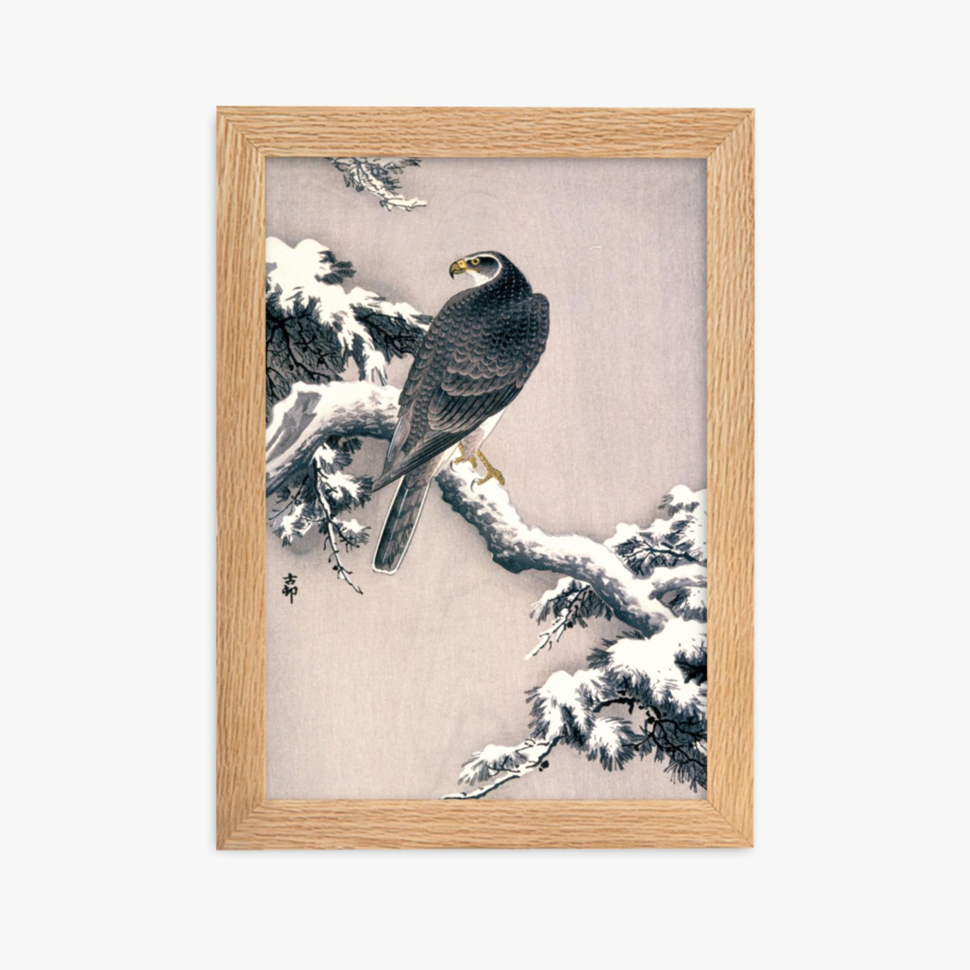 Ohara Koson - Goshawk on Snow-covered Pine Bough  21x30 cm Poster With Oak Frame