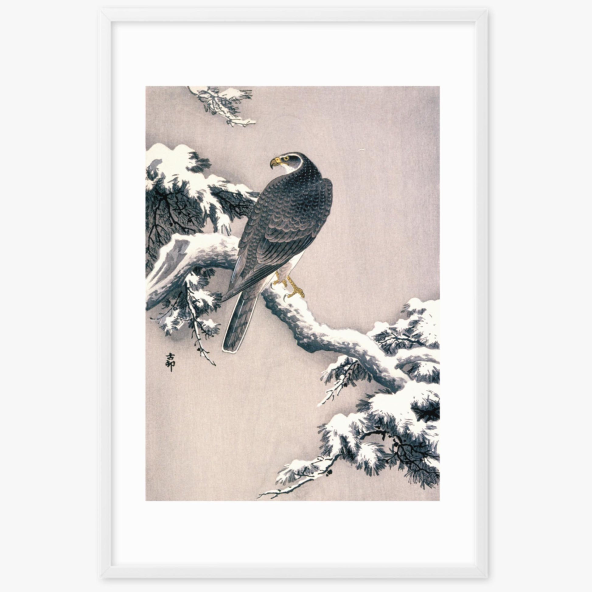 Ohara Koson - Goshawk on Snow-covered Pine Bough  61x91 cm Poster With White Frame