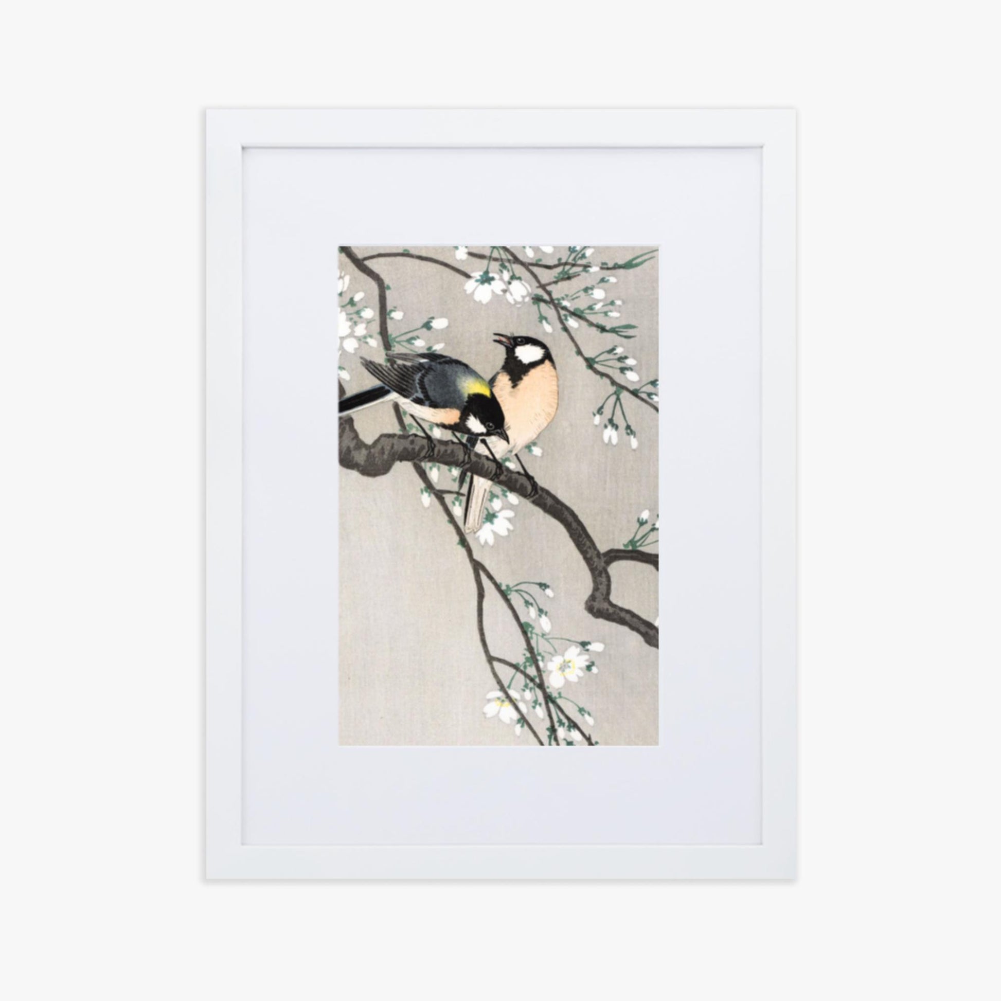 Ohara Koson - Tits on Cherry Branch 30x40 cm Poster With White Frame