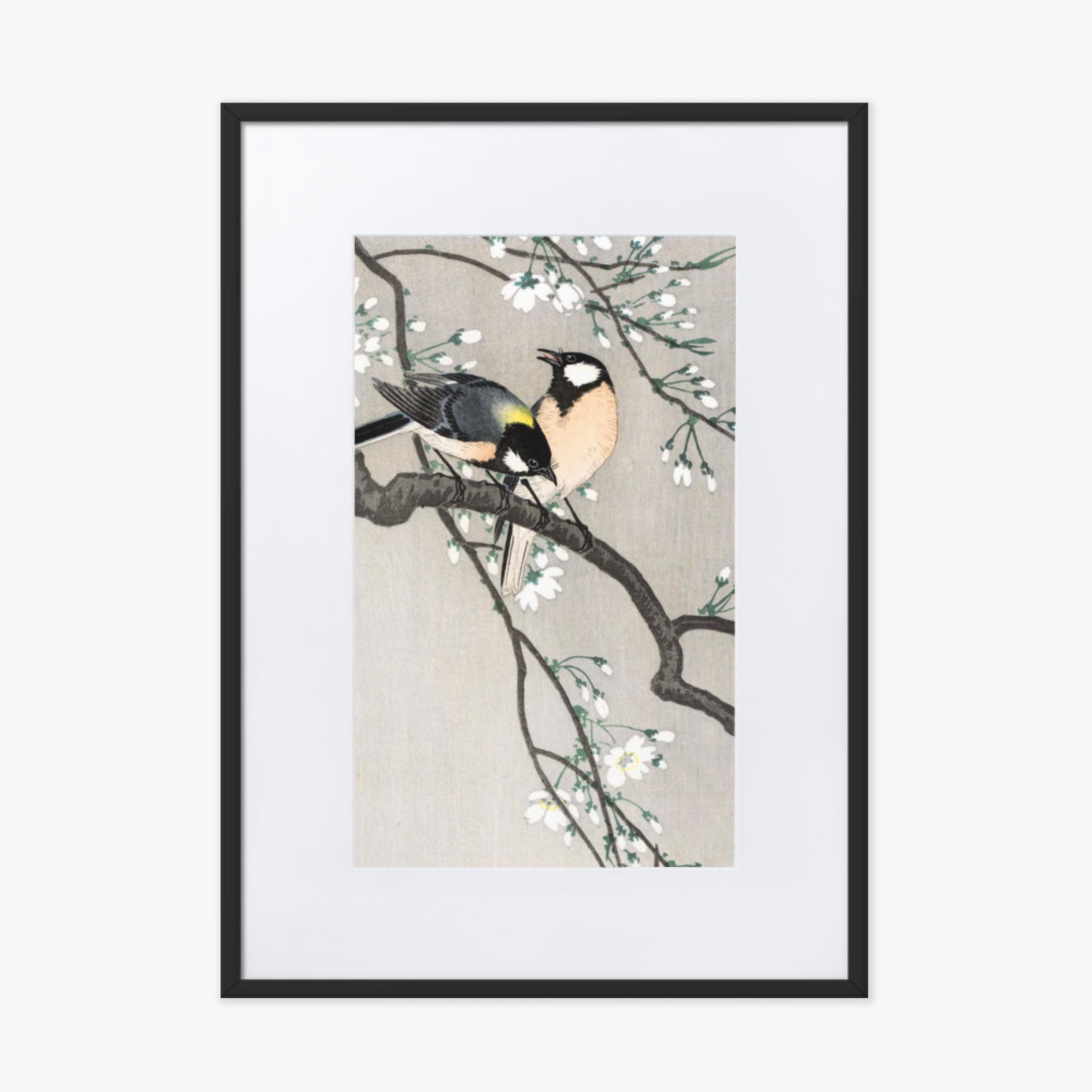 Ohara Koson - Tits on Cherry Branch 50x70 cm Poster With Black Frame