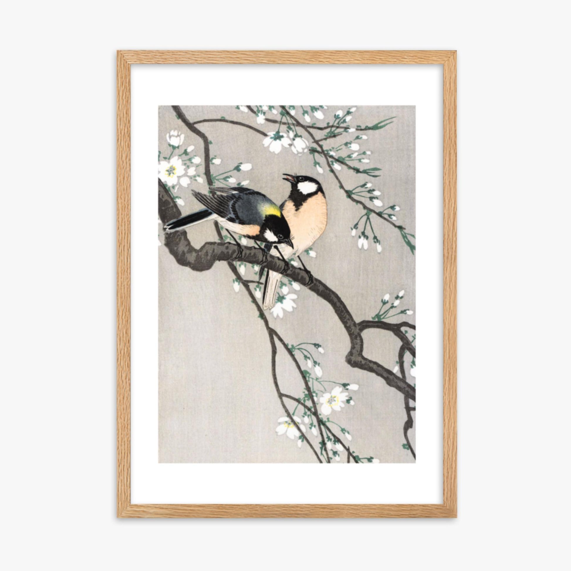 Ohara Koson - Tits on Cherry Branch 50x70 cm Poster With Oak Frame