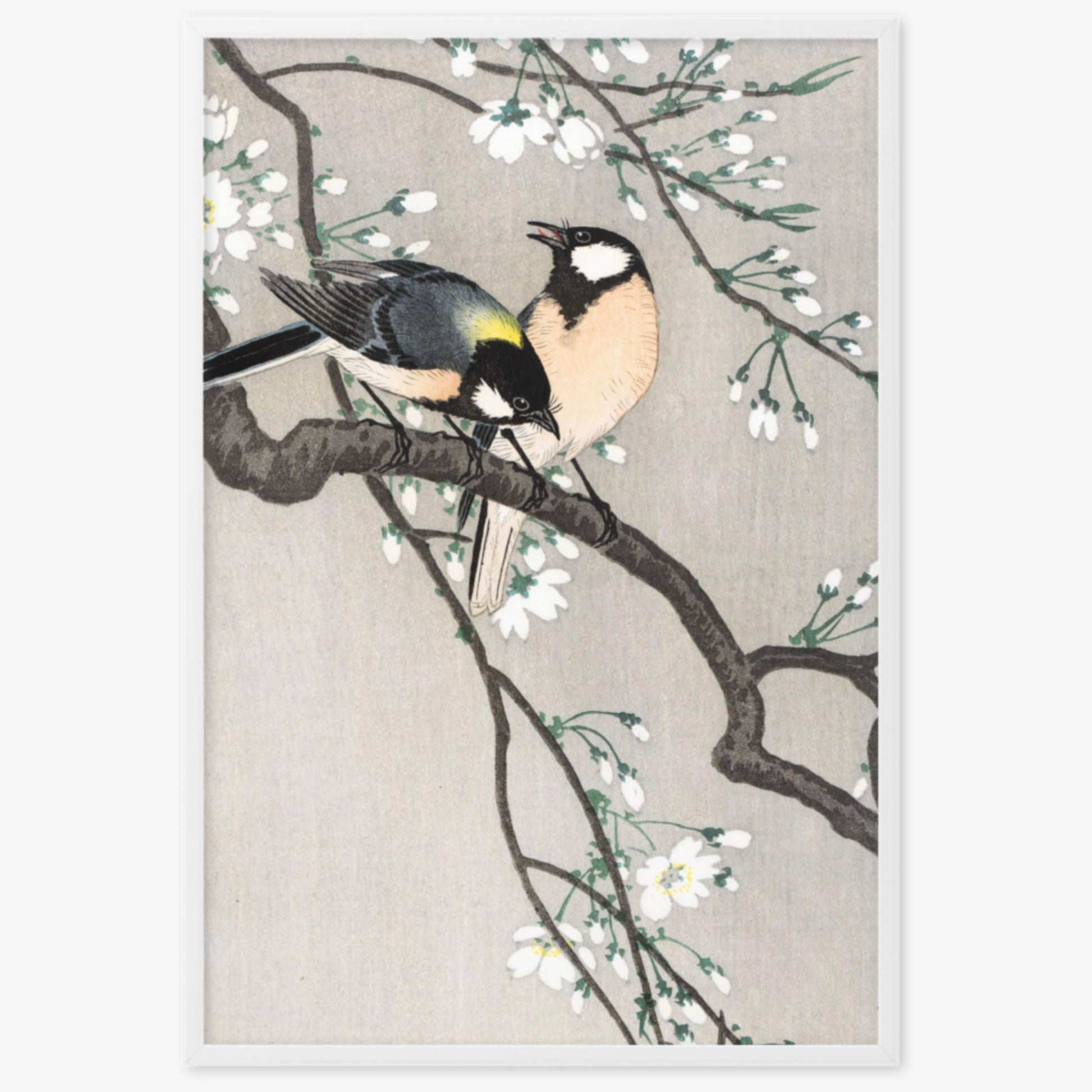 Ohara Koson - Tits on Cherry Branch 61x91 cm Poster With White Frame