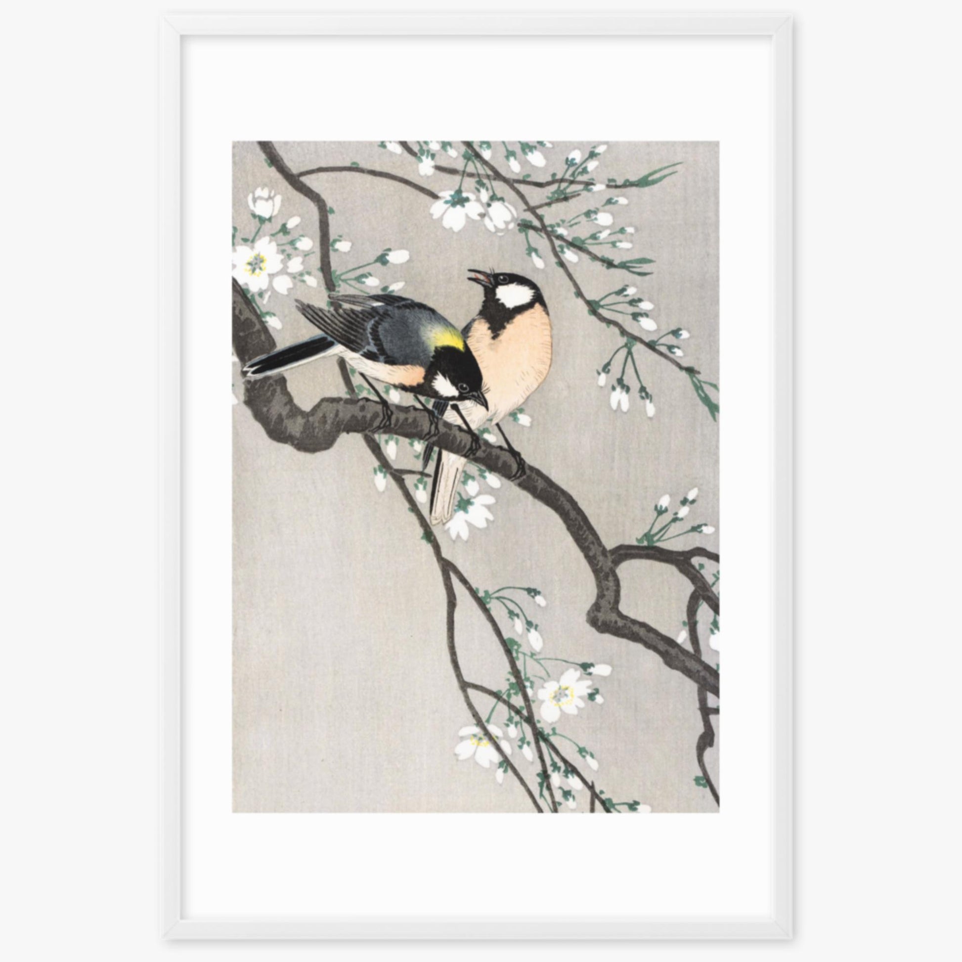 Ohara Koson - Tits on Cherry Branch 61x91 cm Poster With White Frame