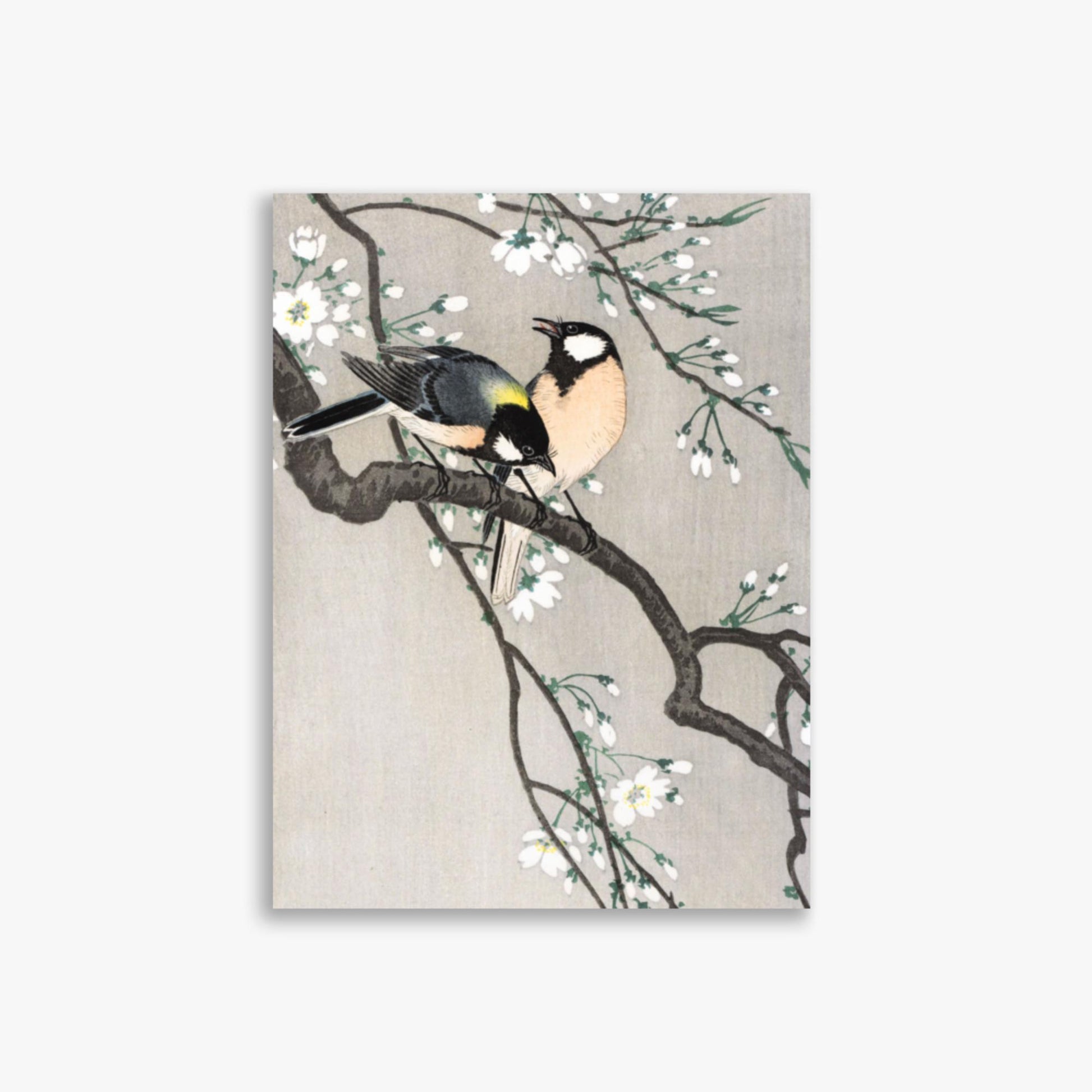 Ohara Koson - Tits on Cherry Branch 30x40 cm Poster