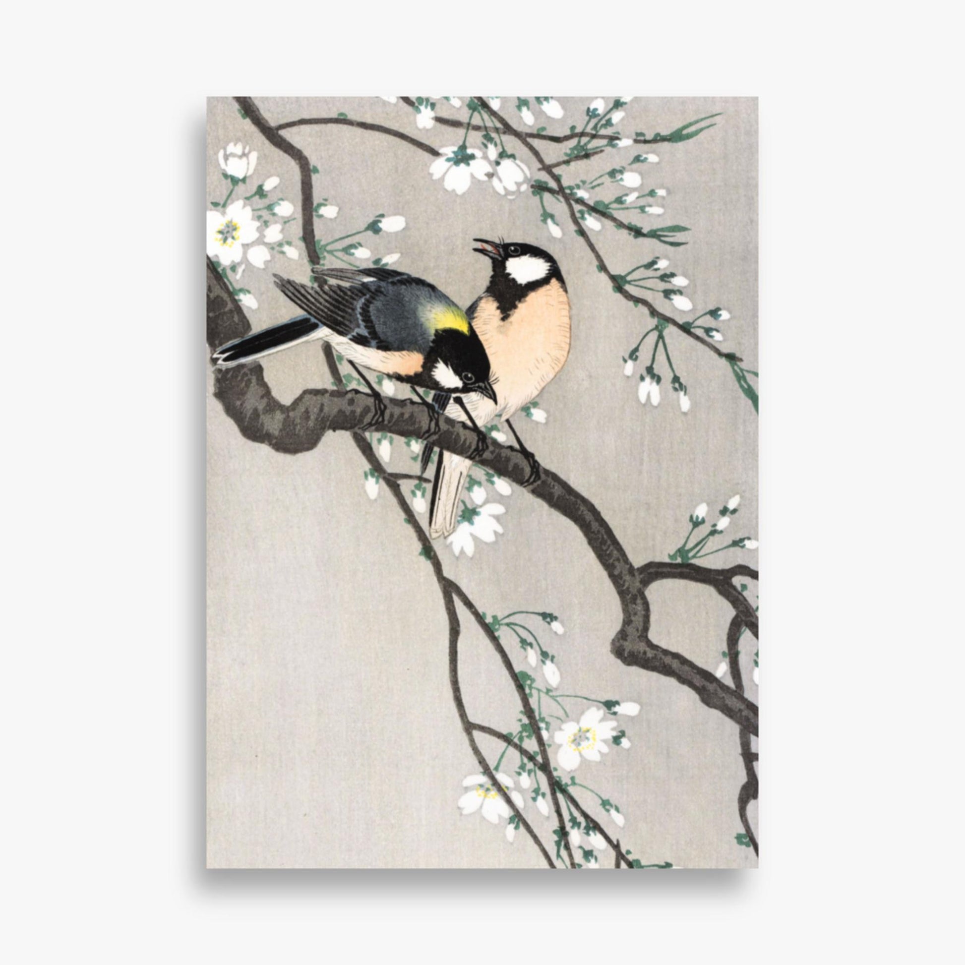 Ohara Koson - Tits on Cherry Branch 50x70 cm Poster