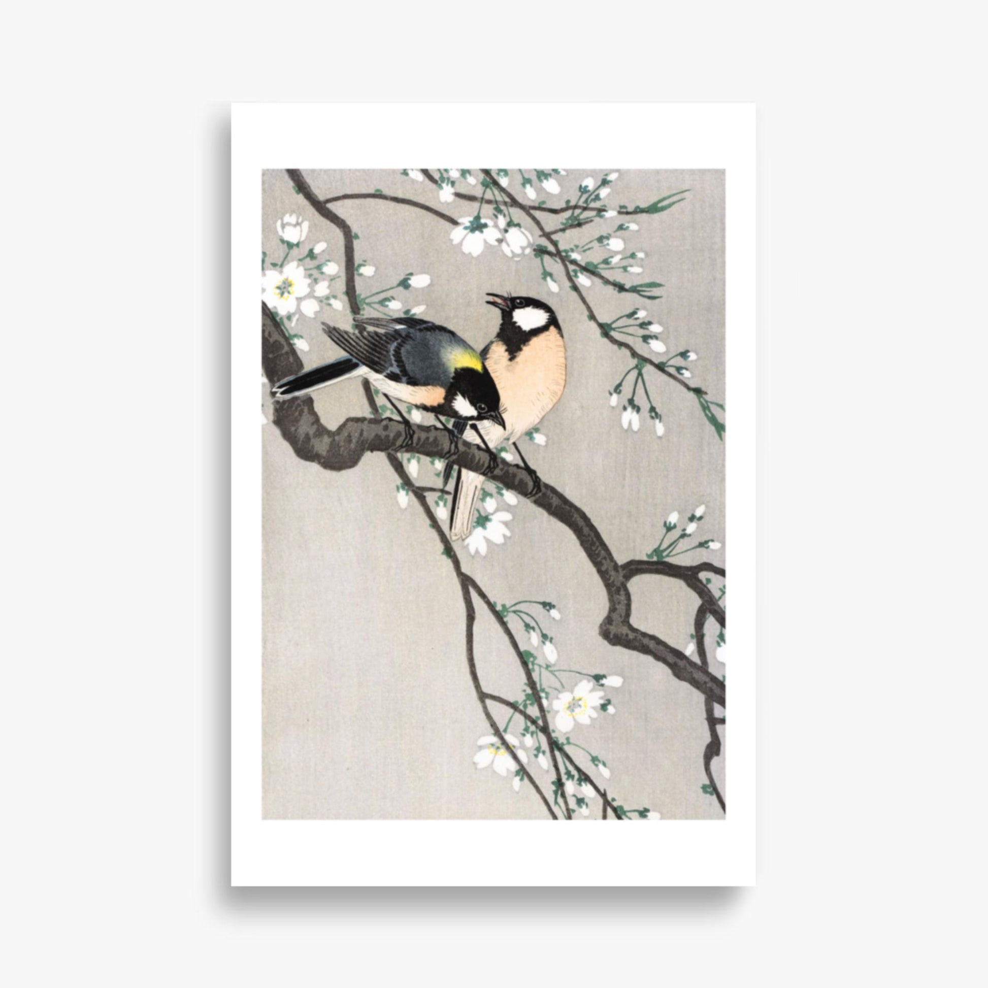 Ohara Koson - Tits on Cherry Branch 61x91 cm Poster