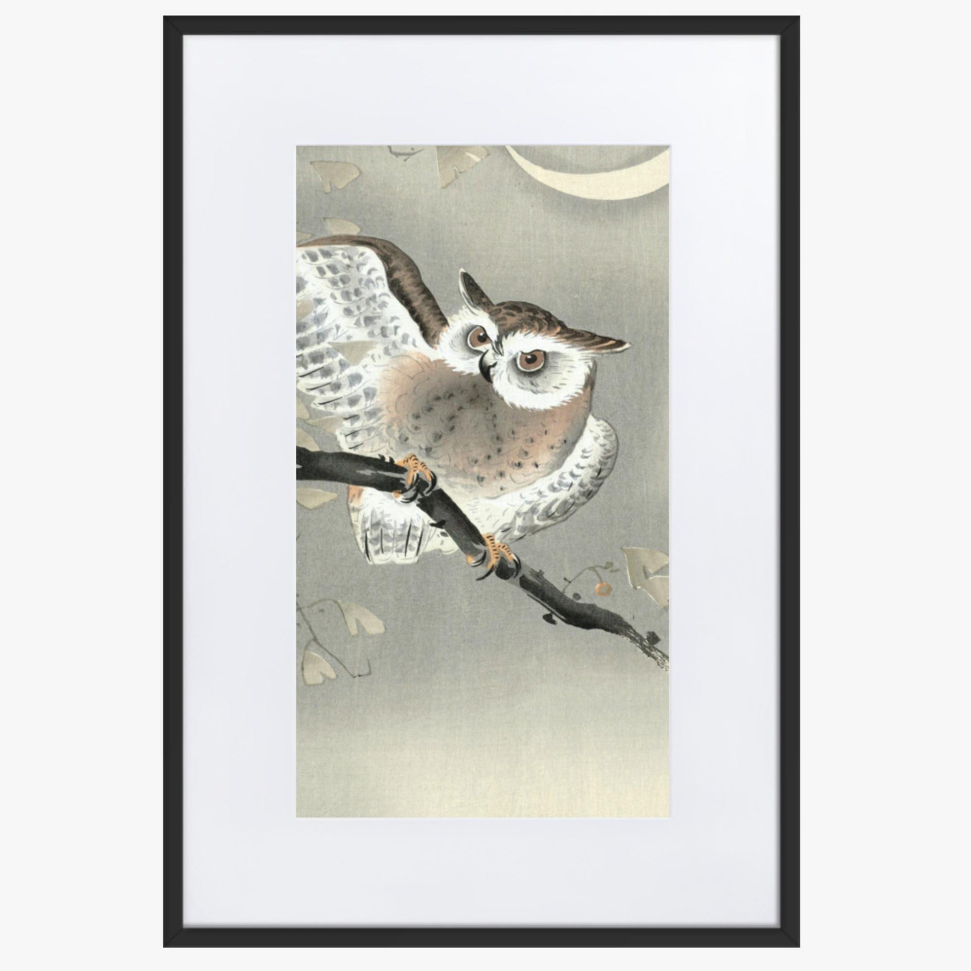 Ohara Koson - Long-Eared Owl in Ginkgo 61x91 cm Poster With Black Frame