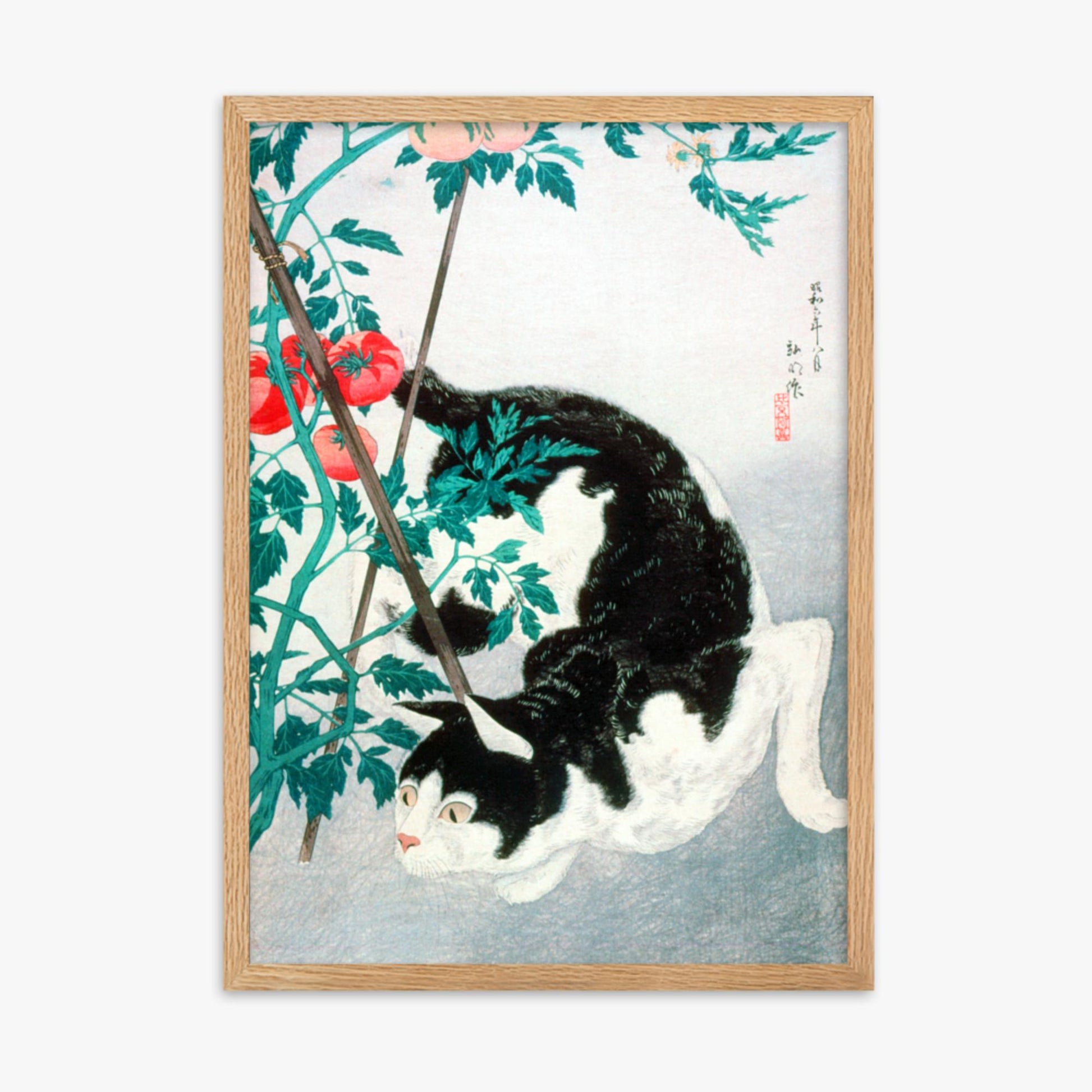 Takahashi Hiroaki (Shōtei) - Cat with Tomato Plant 50x70 cm Poster With Oak Frame