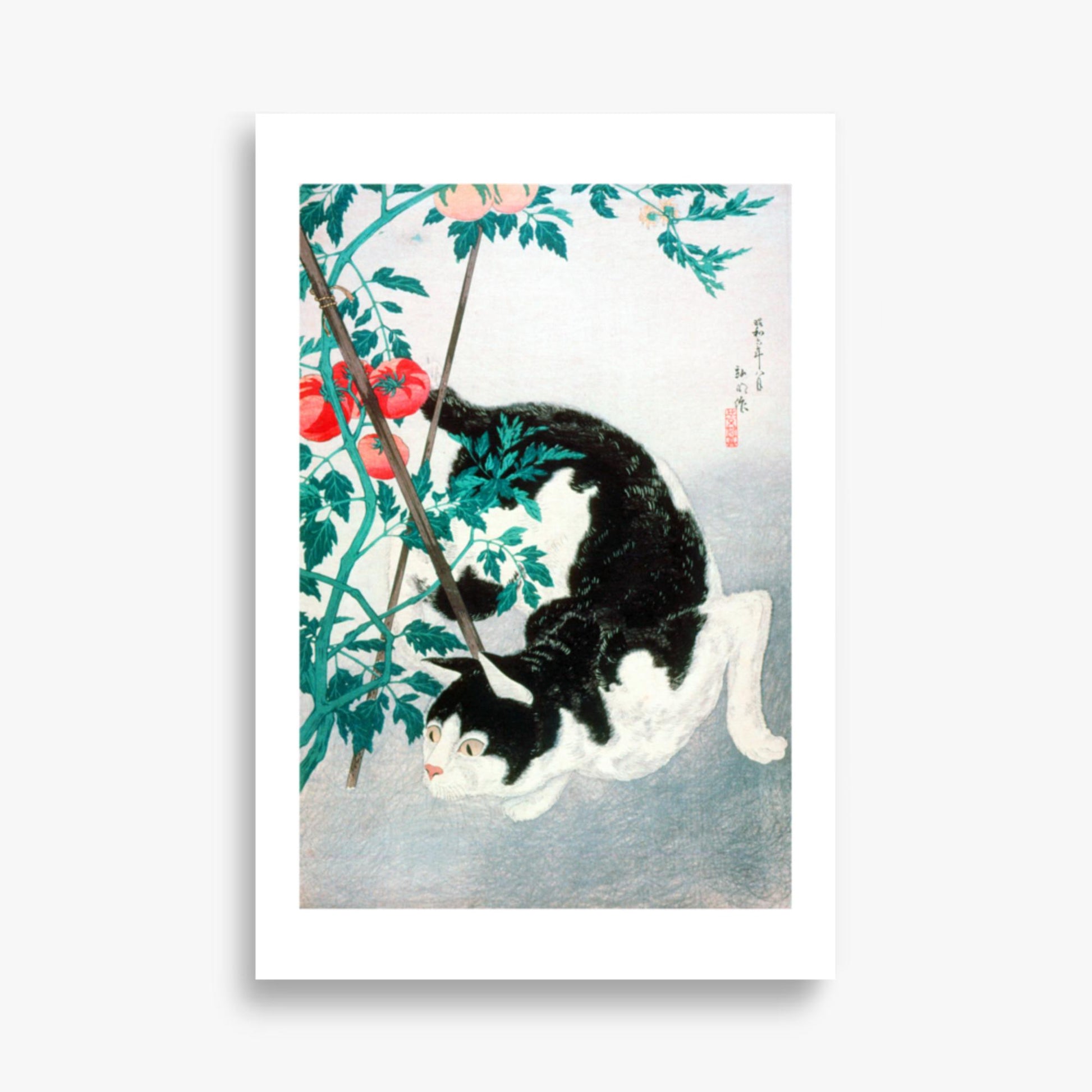 Takahashi Hiroaki (Shōtei) - Cat with Tomato Plant 61x91 cm Poster