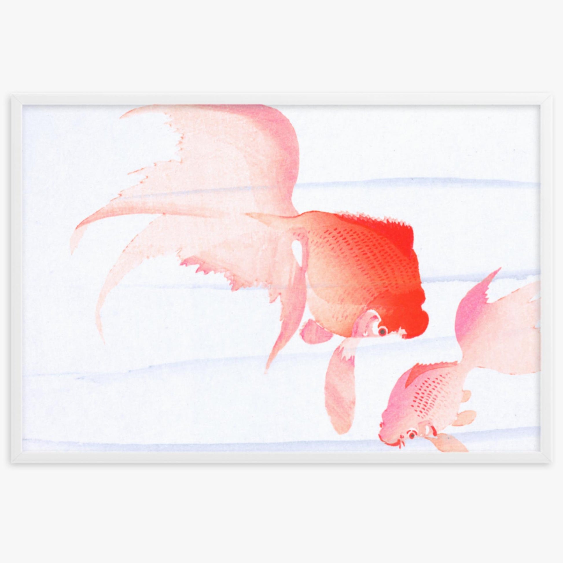 Ohara Koson - Gold Fish 61x91 cm Poster With White Frame