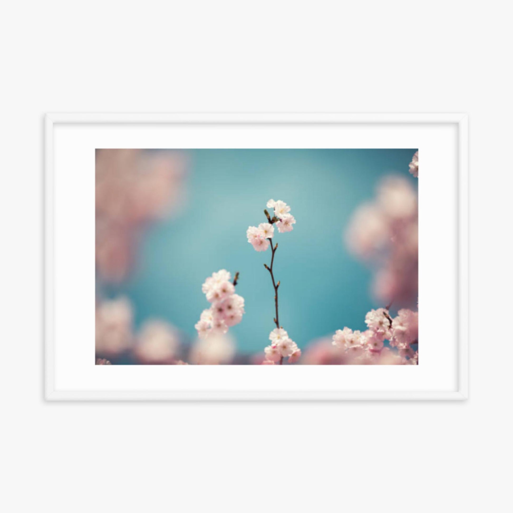 Pastel Colored Cherry Blossoms 24x36 in Poster With White Frame