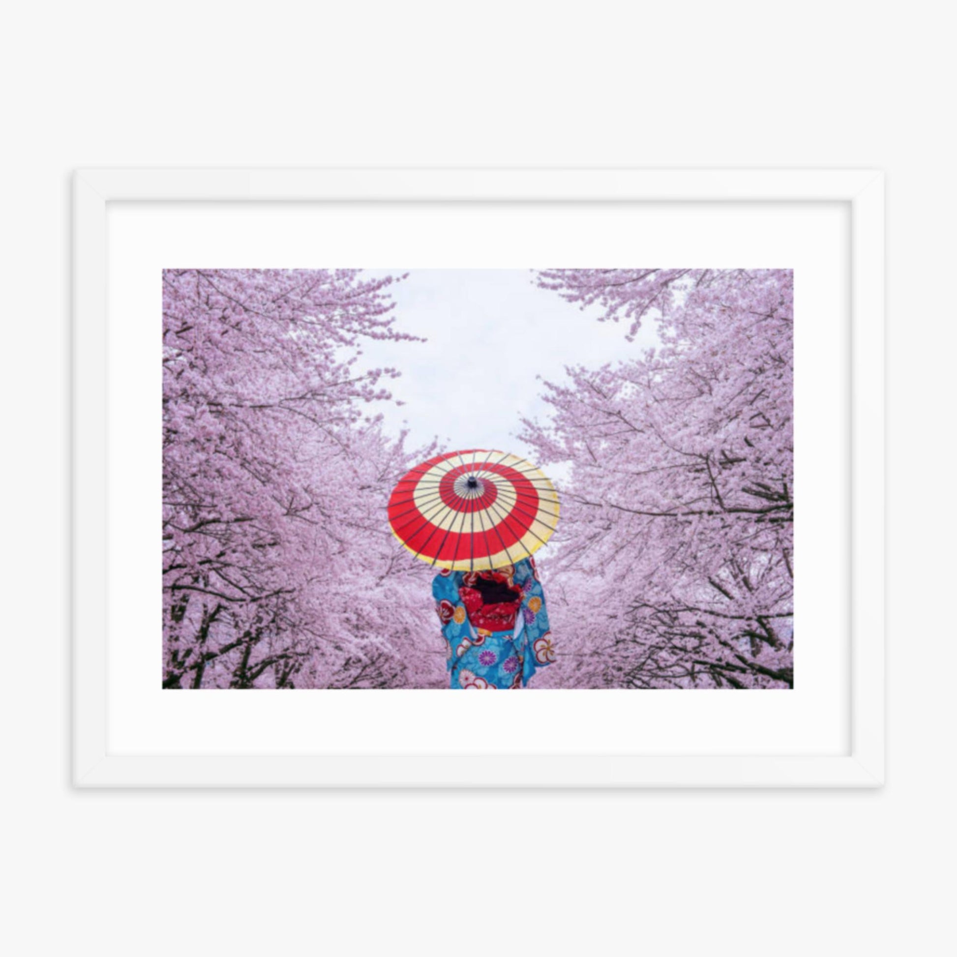 Asian woman wearing japanese traditional kimono and cherry blossom in spring 18x24 in Poster With White Frame