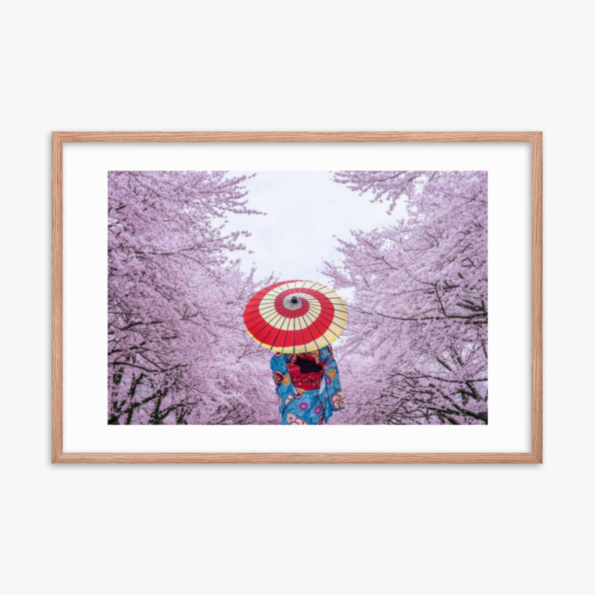 Asian woman wearing japanese traditional kimono and cherry blossom in spring 24x36 in Poster With Oak Frame