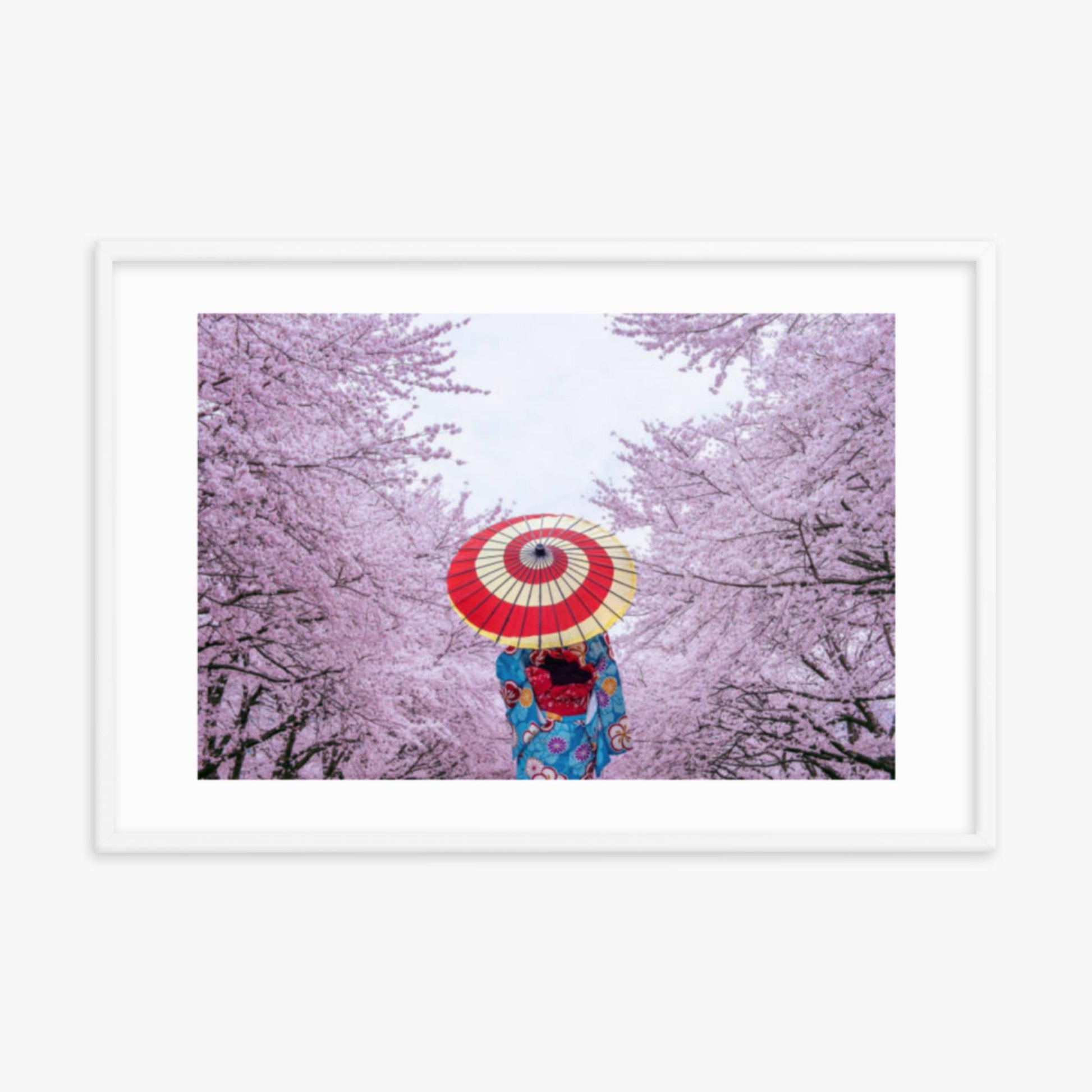 Asian woman wearing japanese traditional kimono and cherry blossom in spring 24x36 in Poster With White Frame