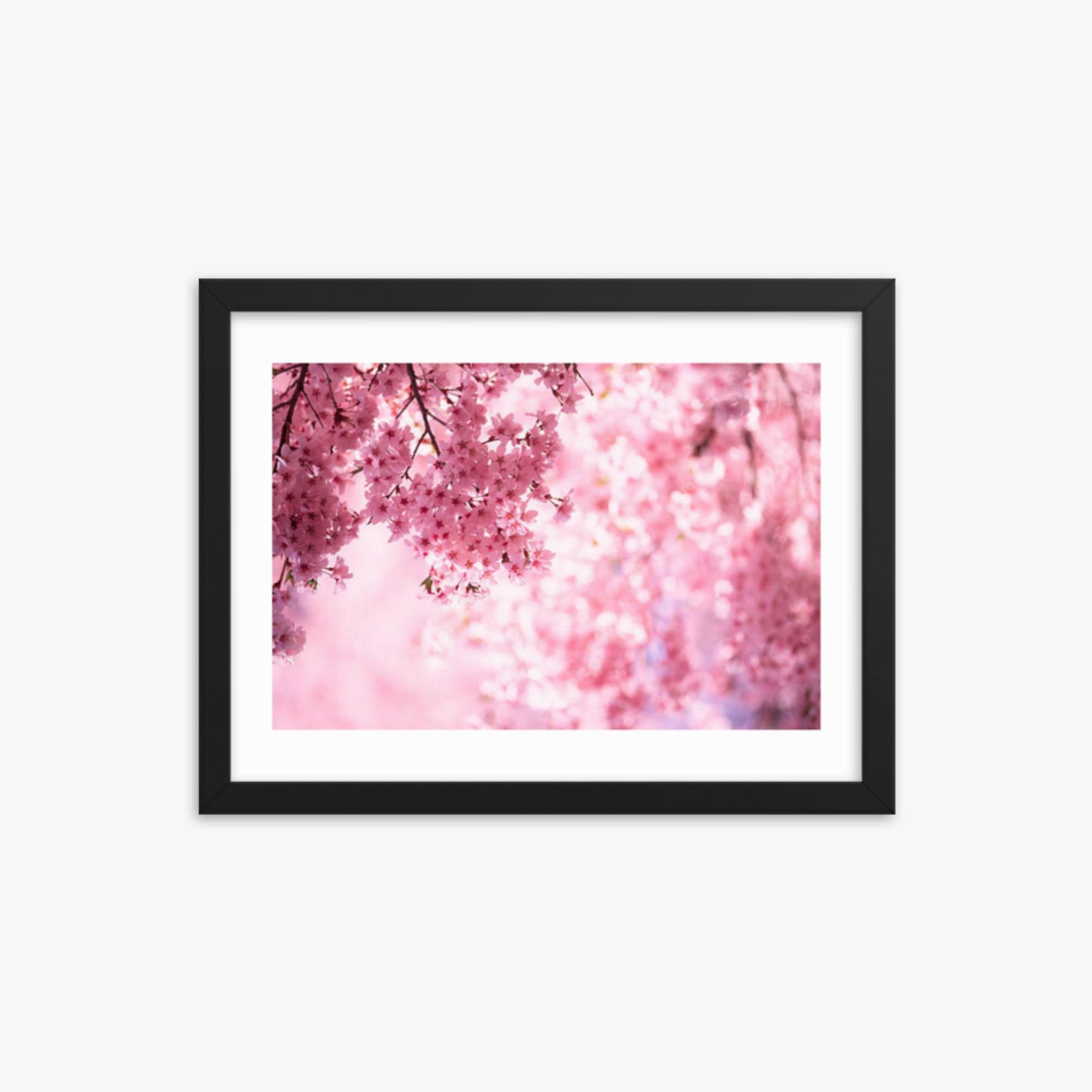 Pink Cherry Blossoms 12x16 in Poster With Black Frame