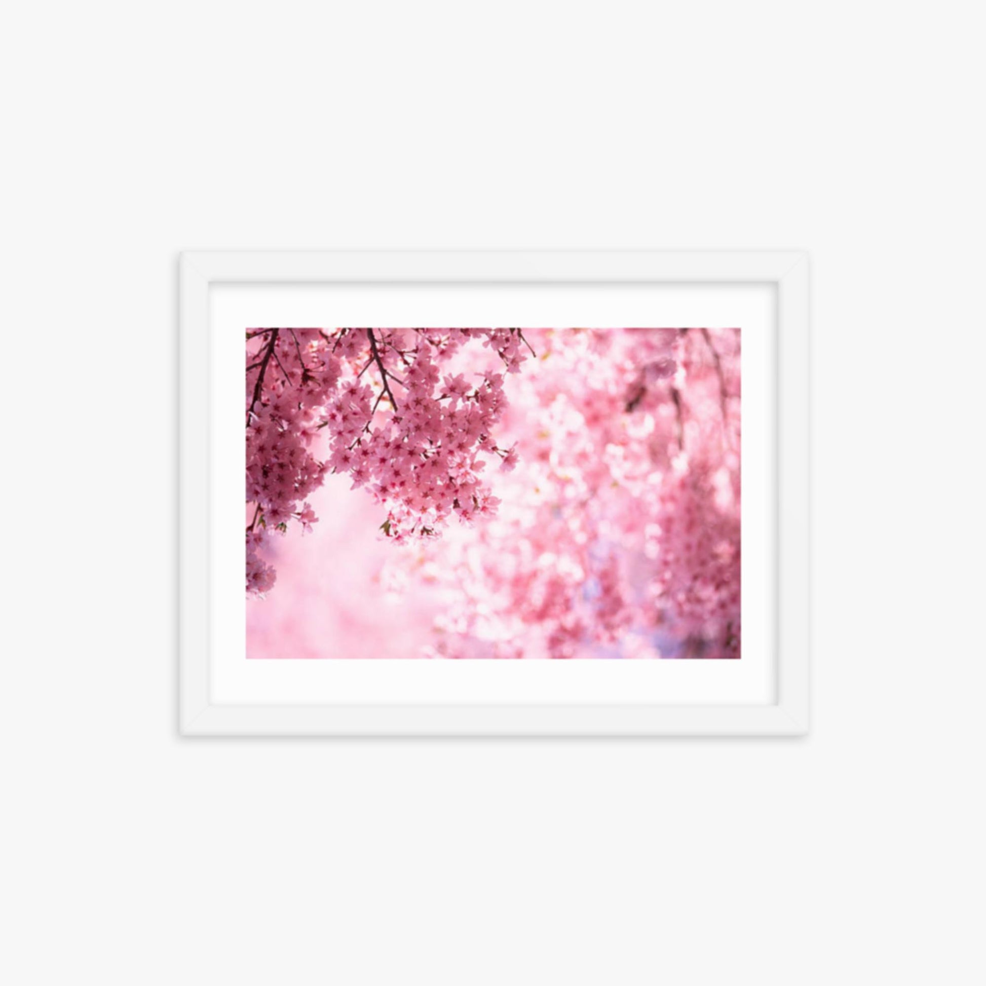 Pink Cherry Blossoms 12x16 in Poster With White Frame