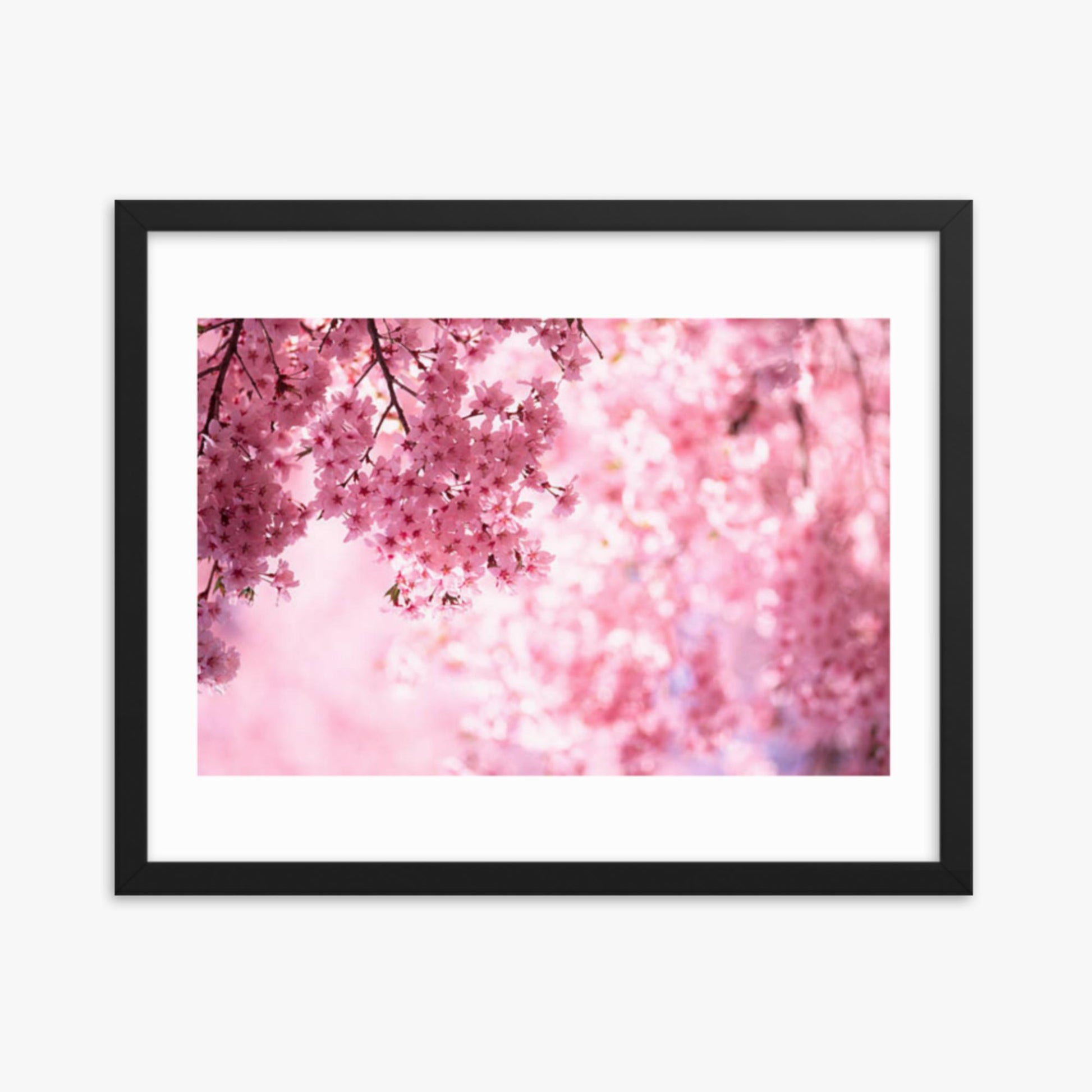 Pink Cherry Blossoms 16x20 in Poster With Black Frame