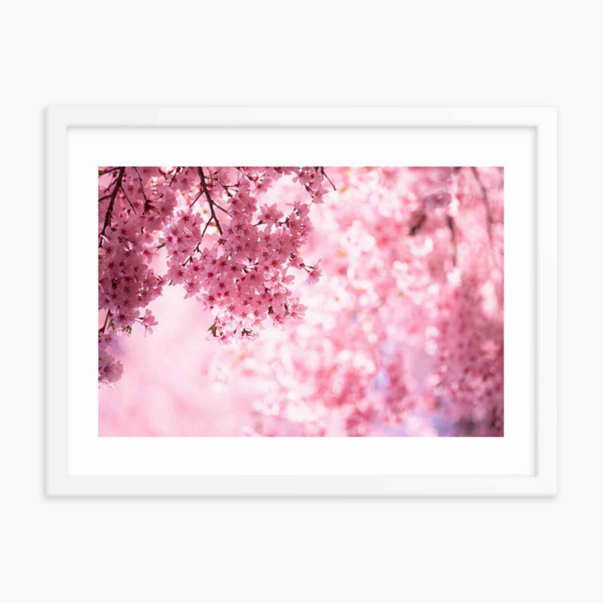 Pink Cherry Blossoms 18x24 in Poster With White Frame