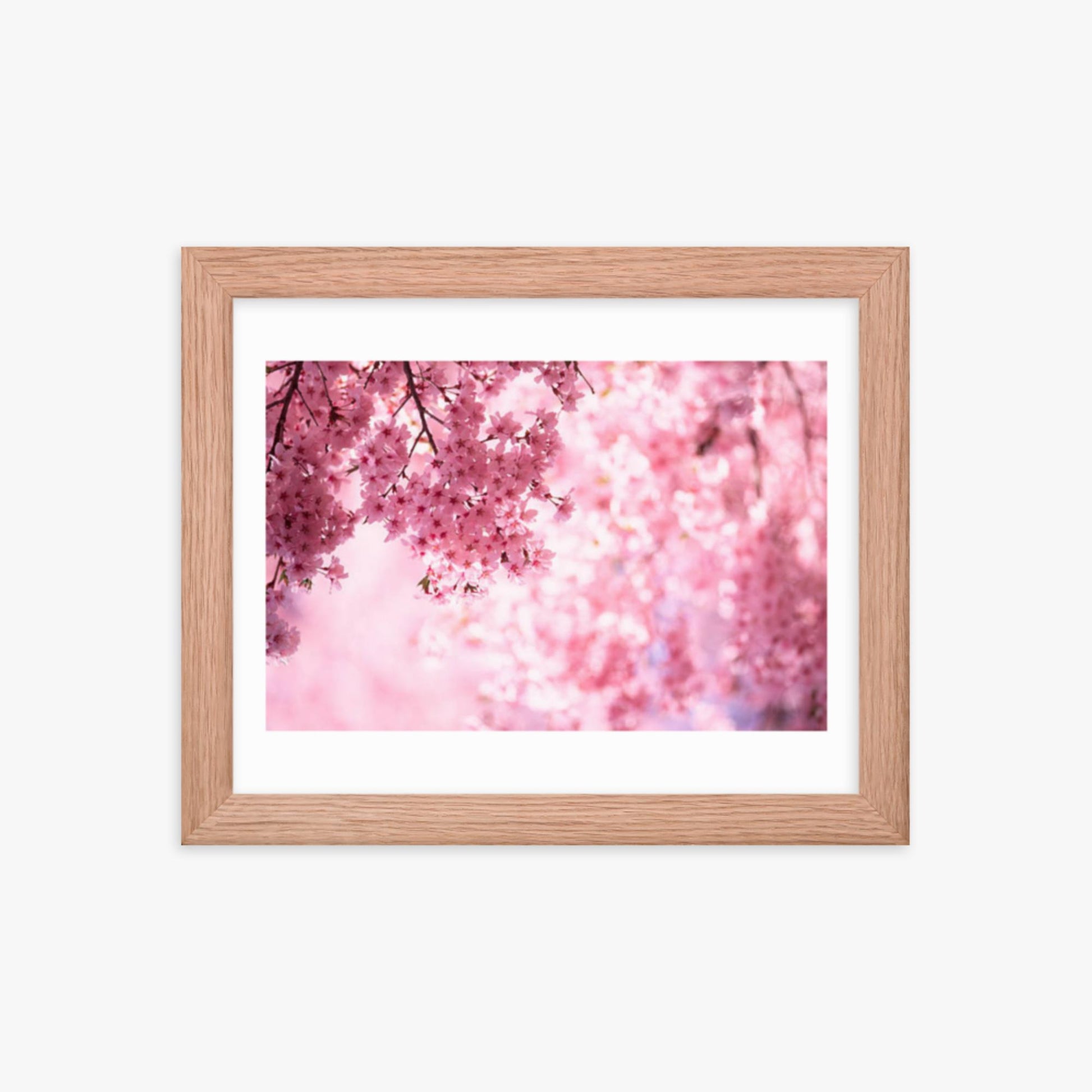 Pink Cherry Blossoms 8x10 in Poster With Oak Frame